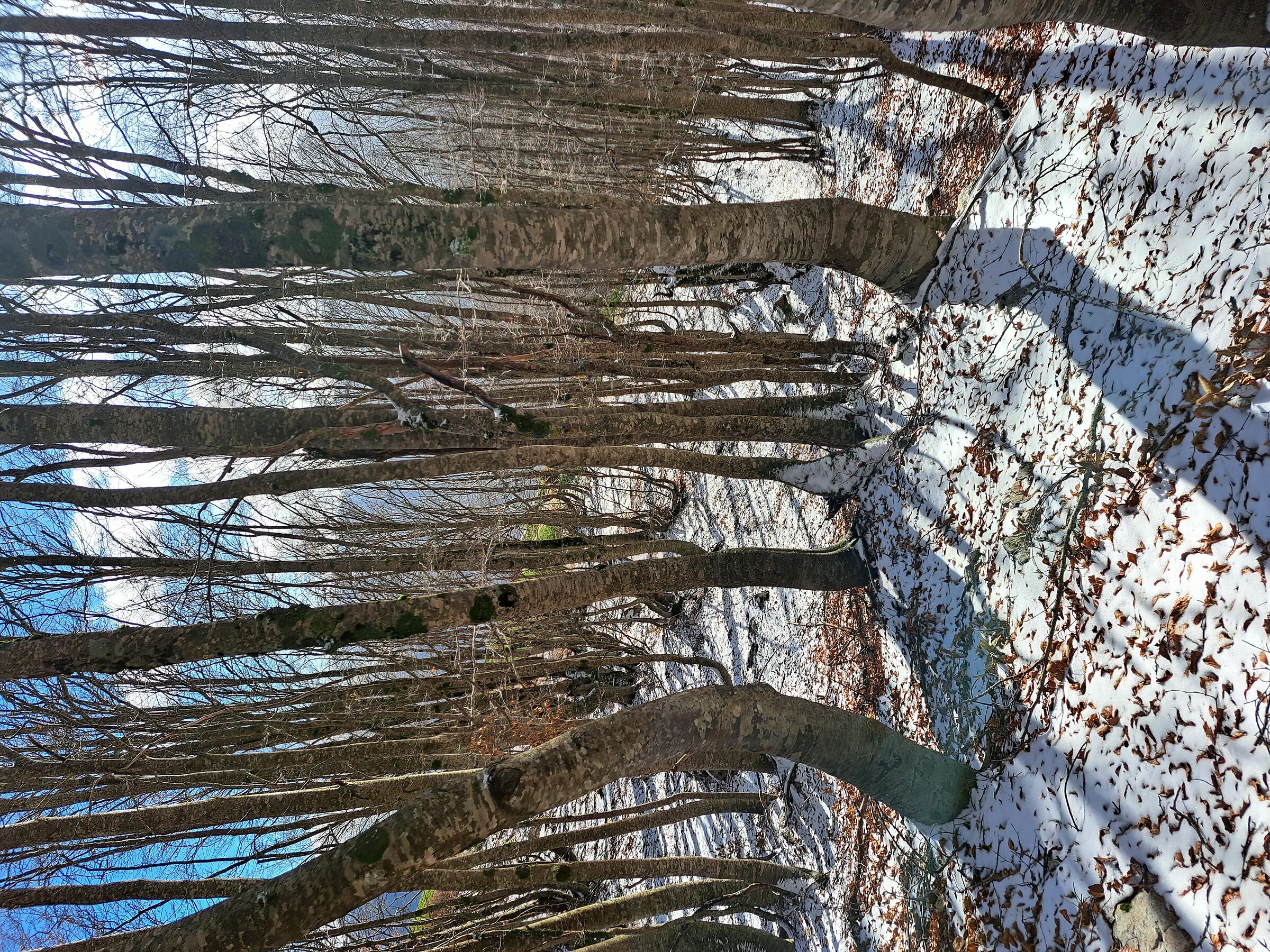 Monte Pizzo Deta (Veroli - Frosinone)