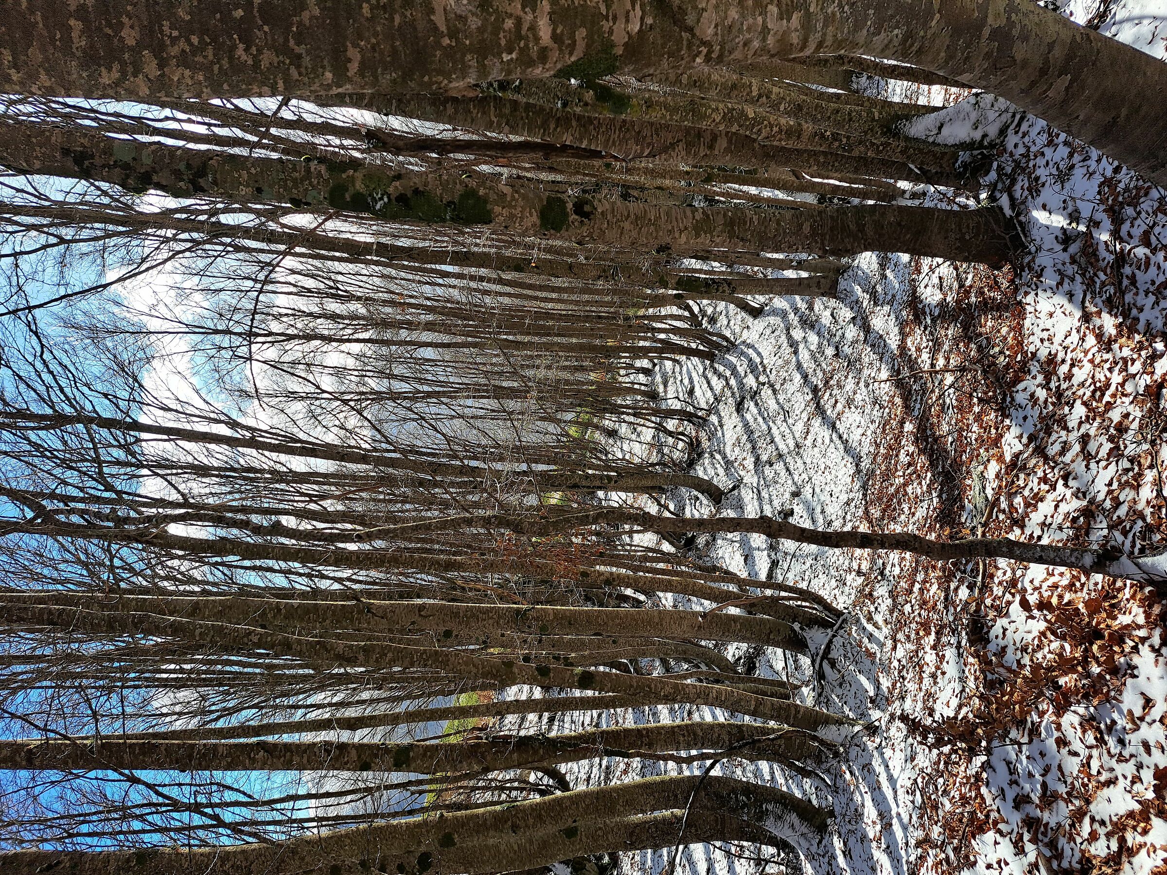 Monte Pizzo Deta (Veroli - Frosinone)