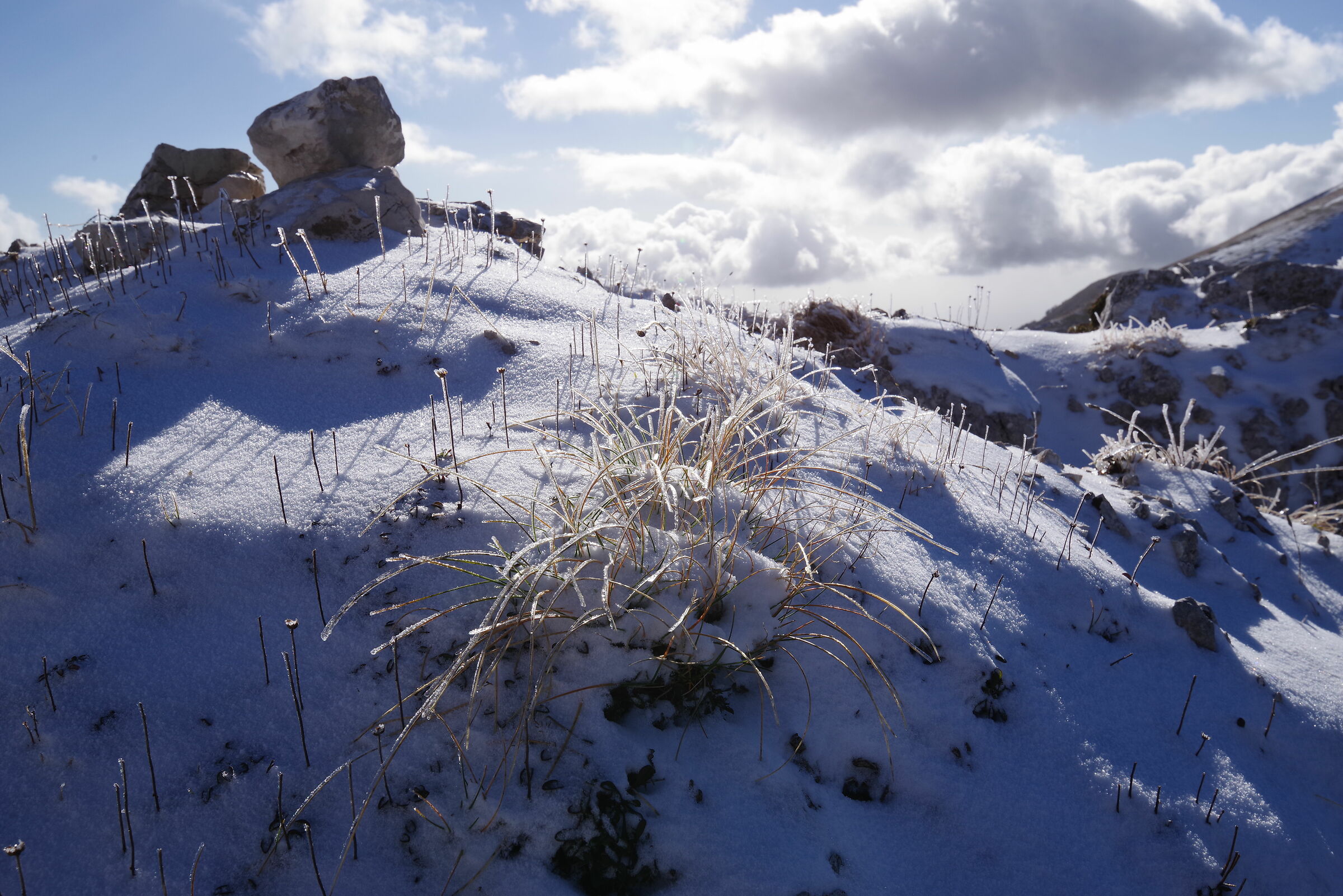 Monte Pizzo Deta (Veroli - Frosinone)