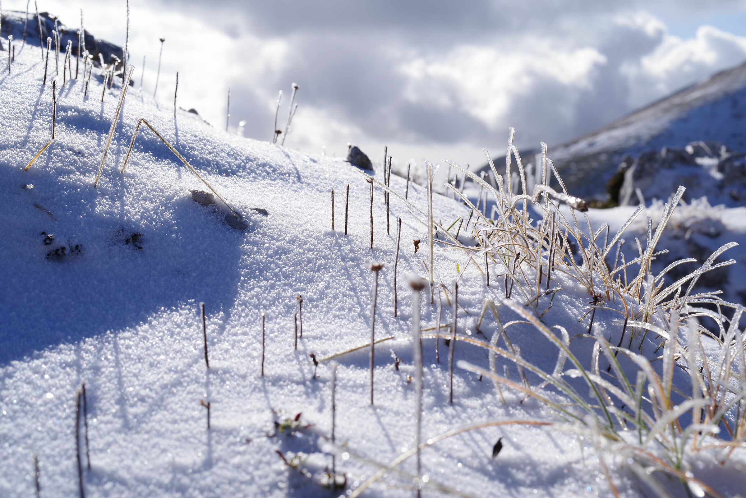 Monte Pizzo Deta (Veroli - Frosinone)