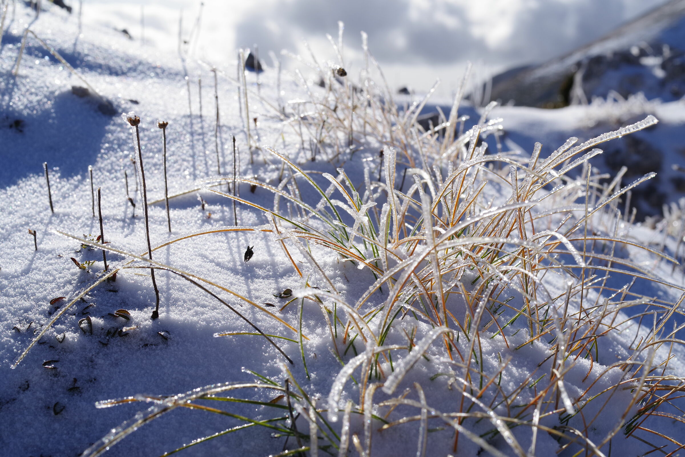 Monte Pizzo Deta (Veroli - Frosinone)