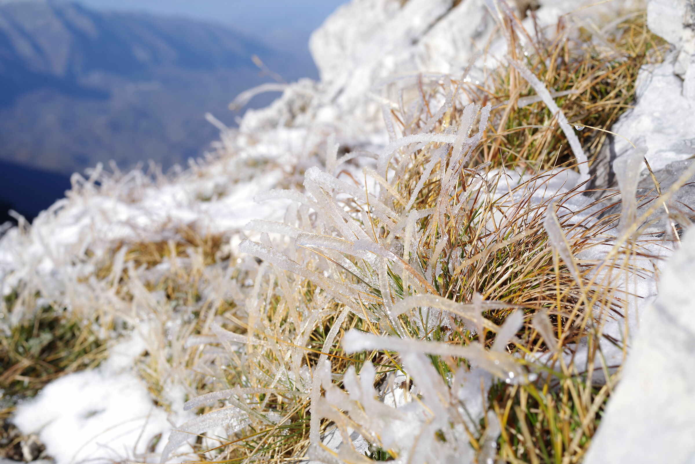 Monte Pizzo Deta (Veroli - Frosinone)