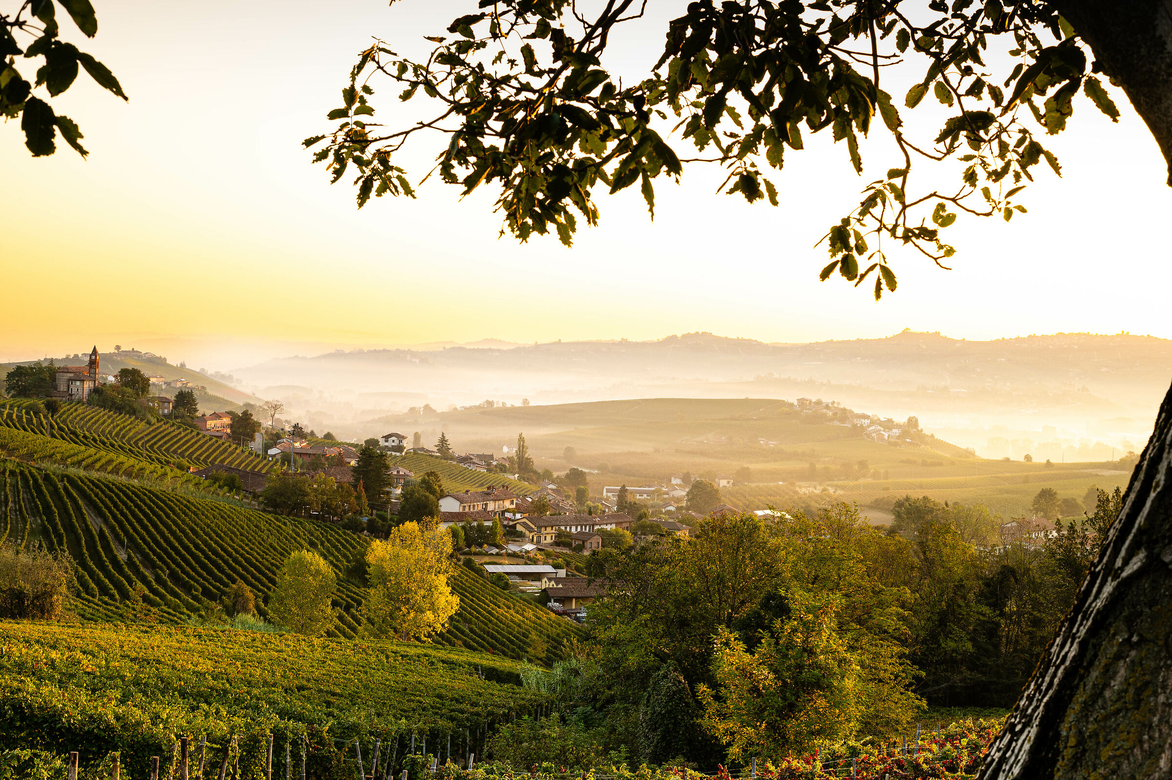 Langhe