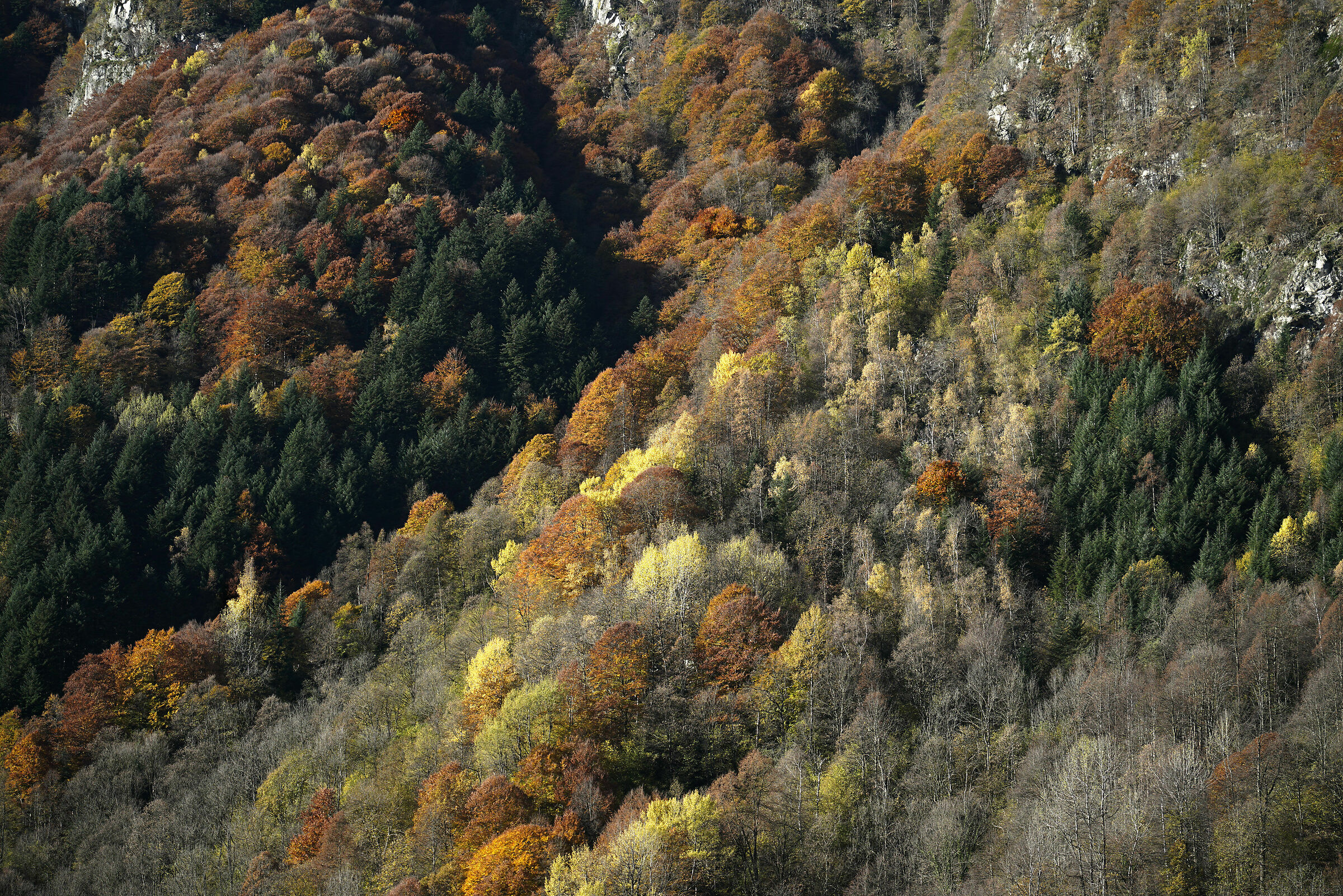 Novembre in Val Sermenza
