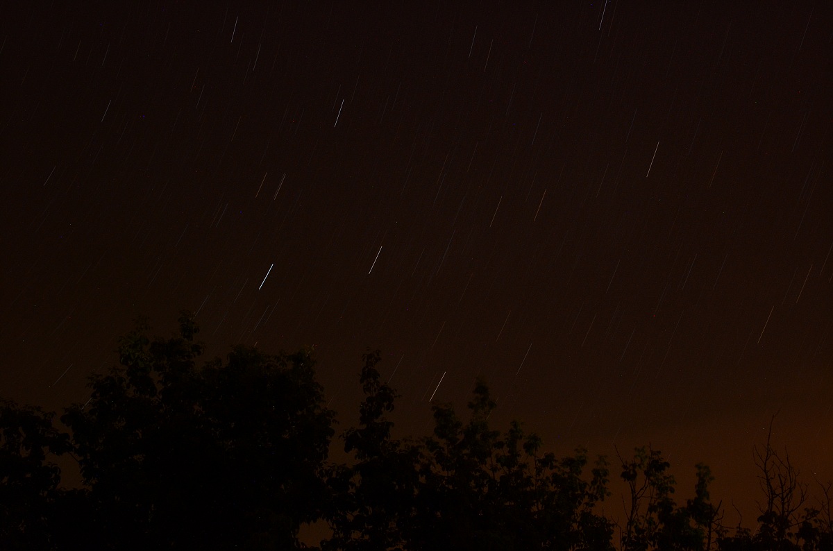 Scie di stelle e alberi
