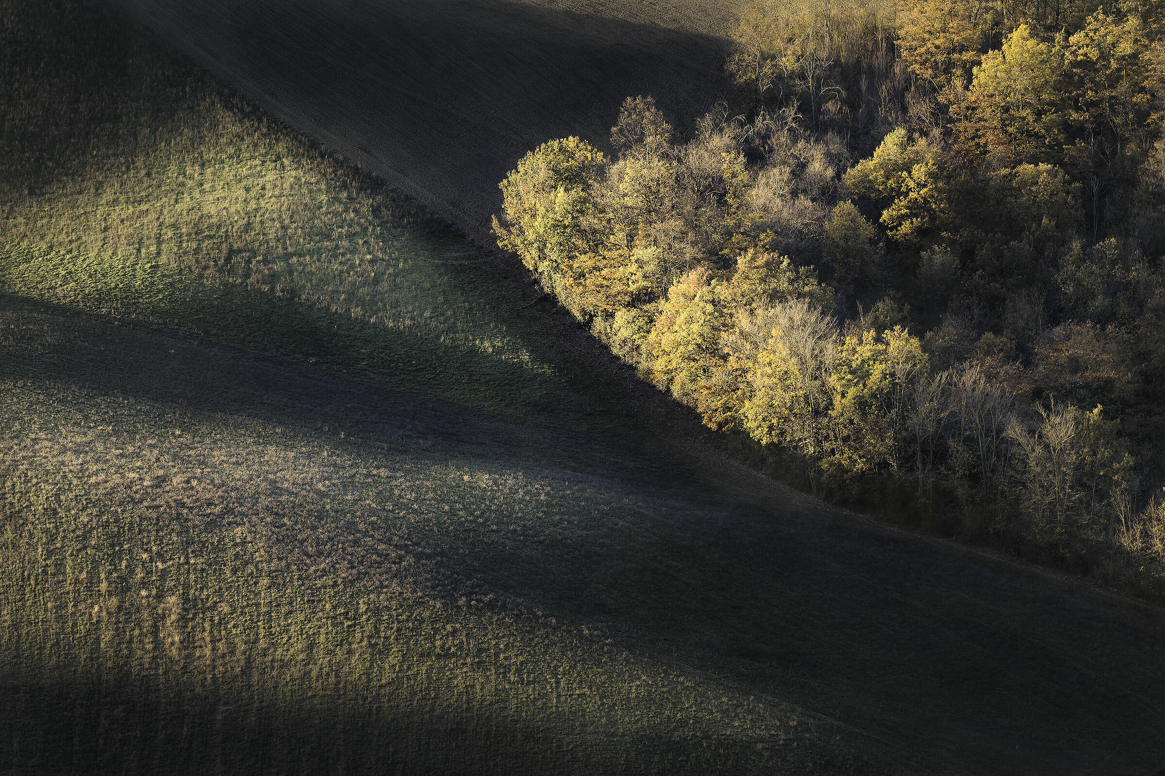 Shadows and Highlights