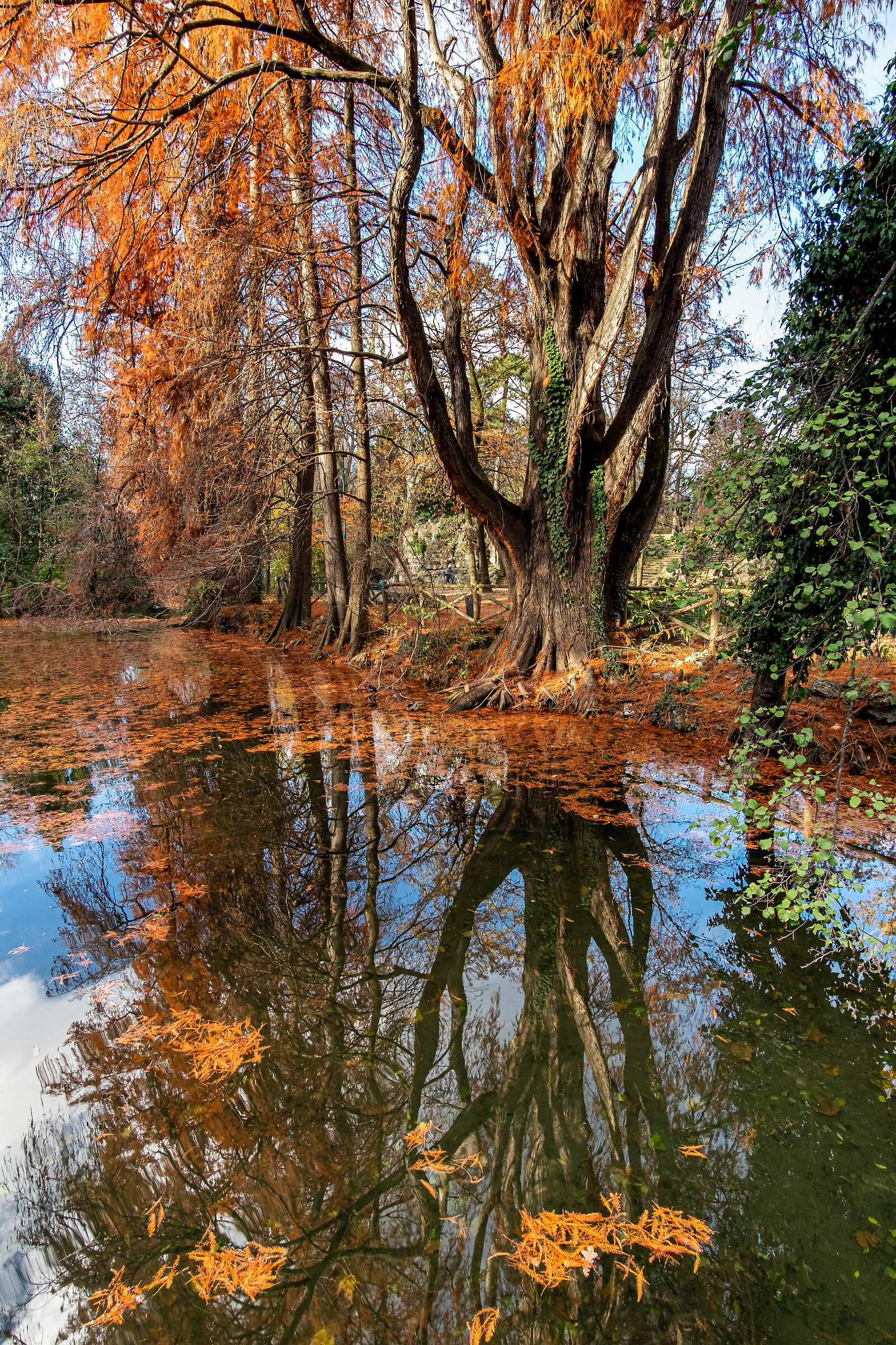 Parco Indro Montanelli - Milan