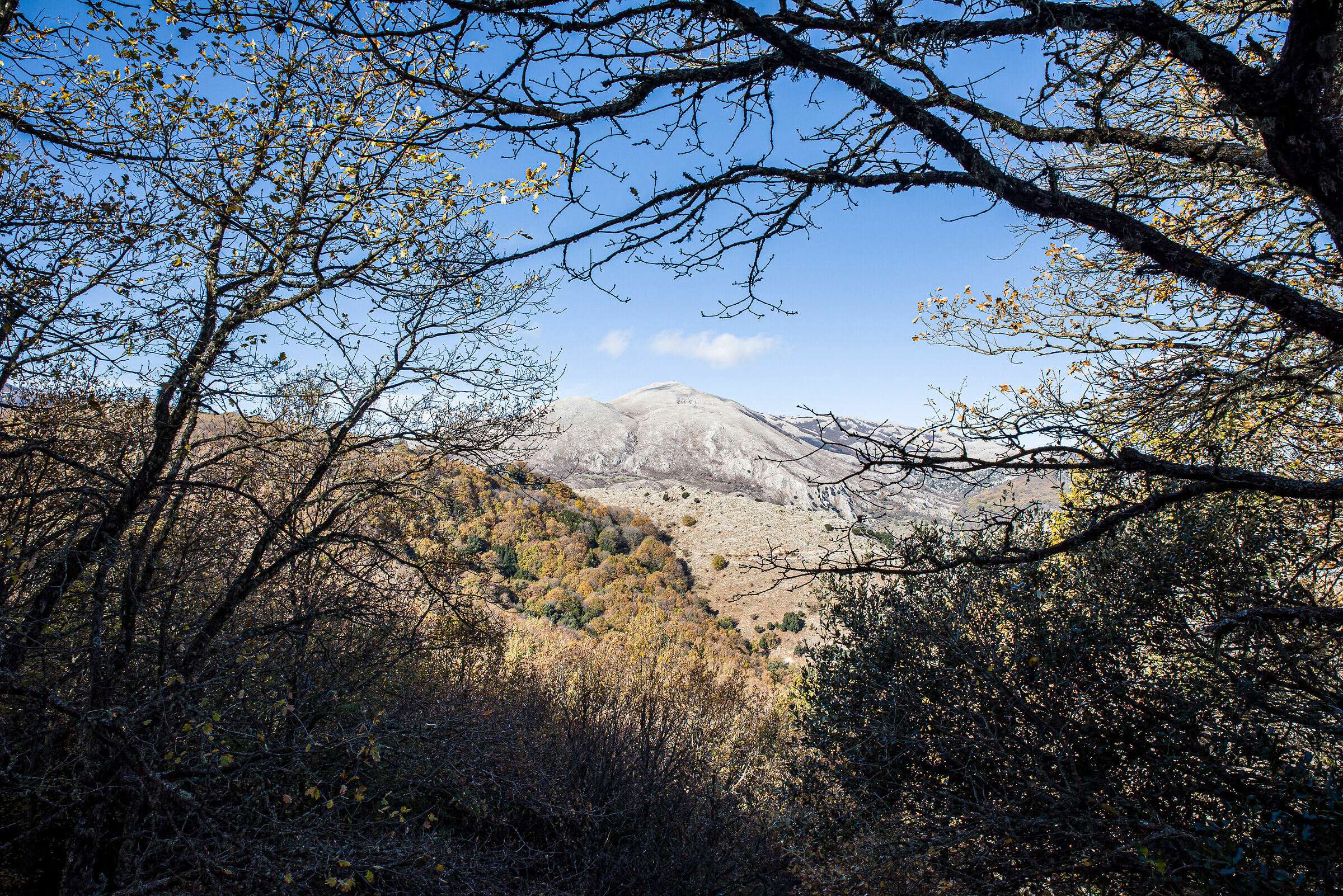 Window on the Madoniti Mountains