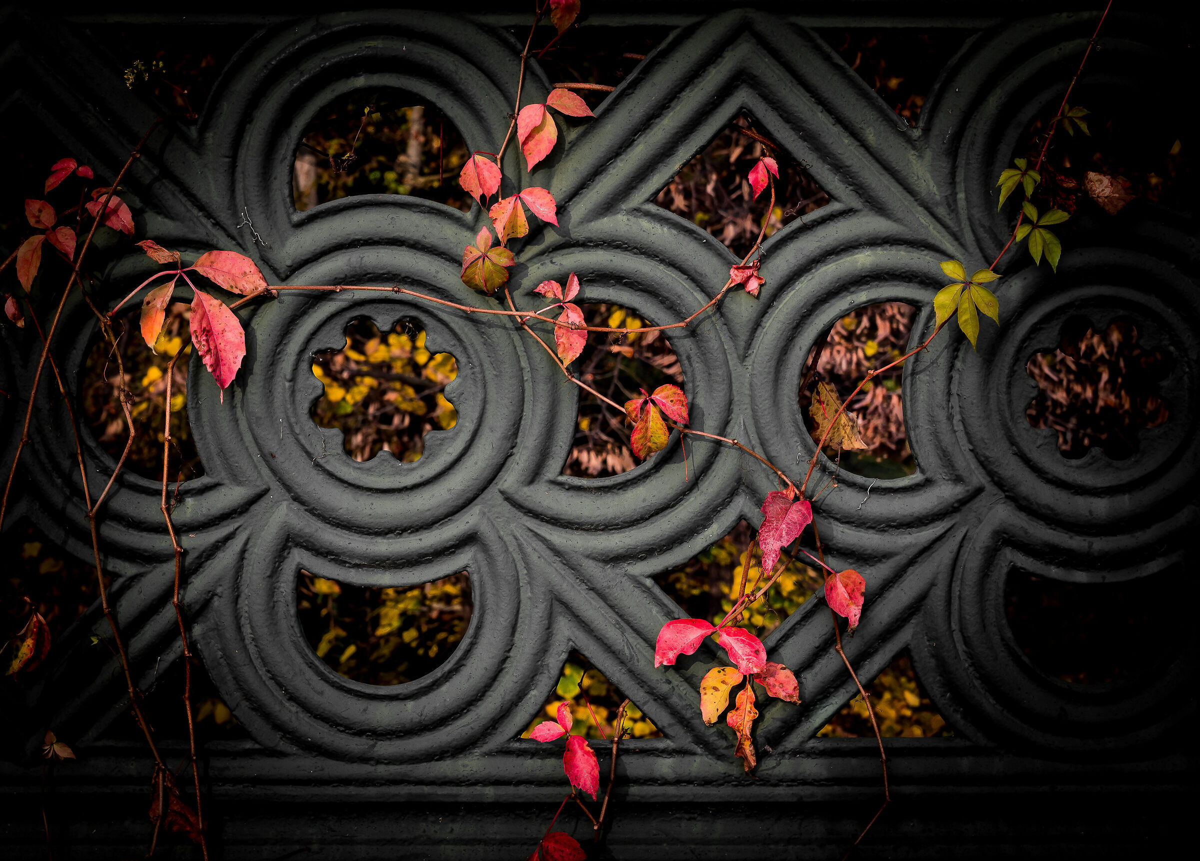 Metropolitan autumn...