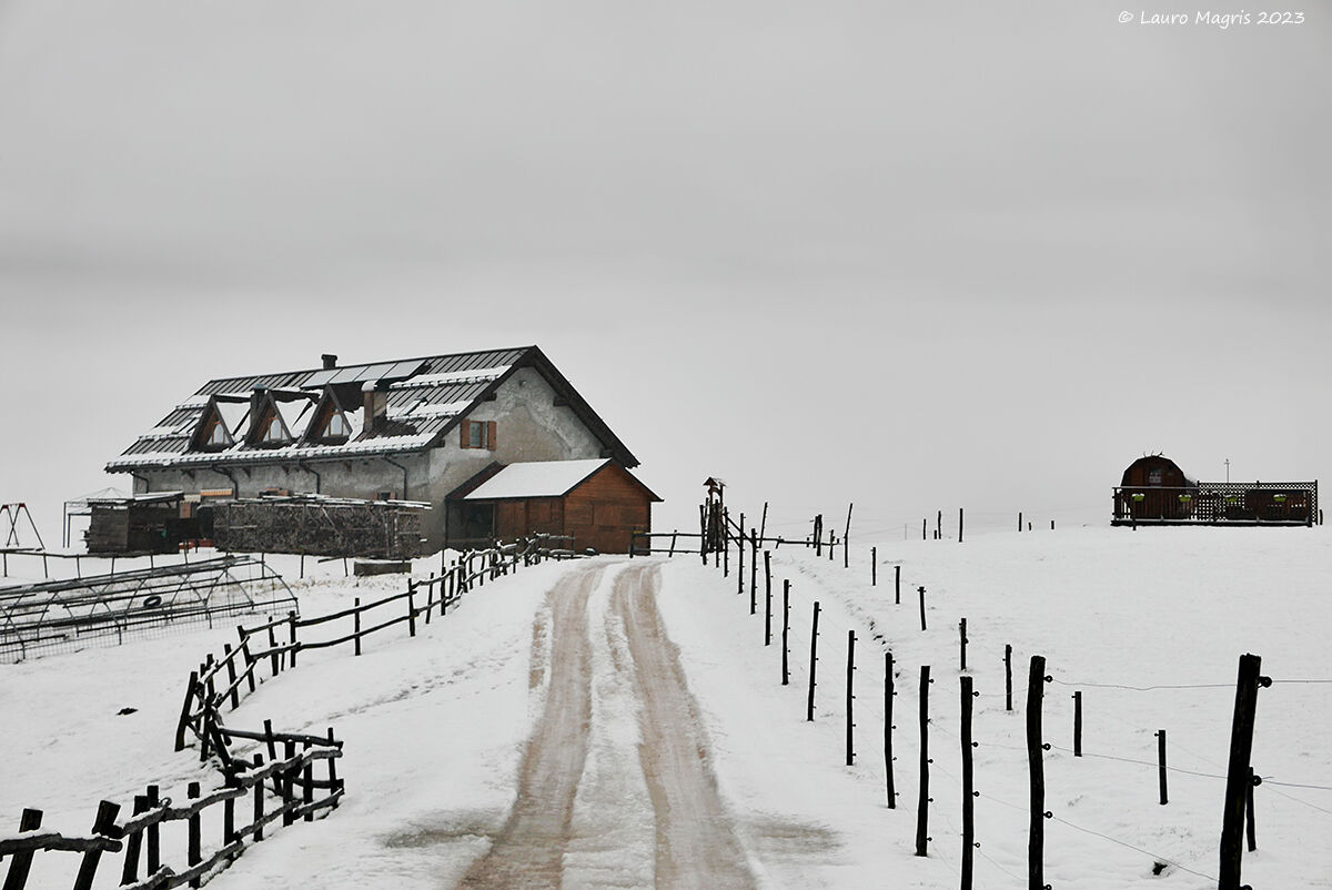 On my way to Filippon