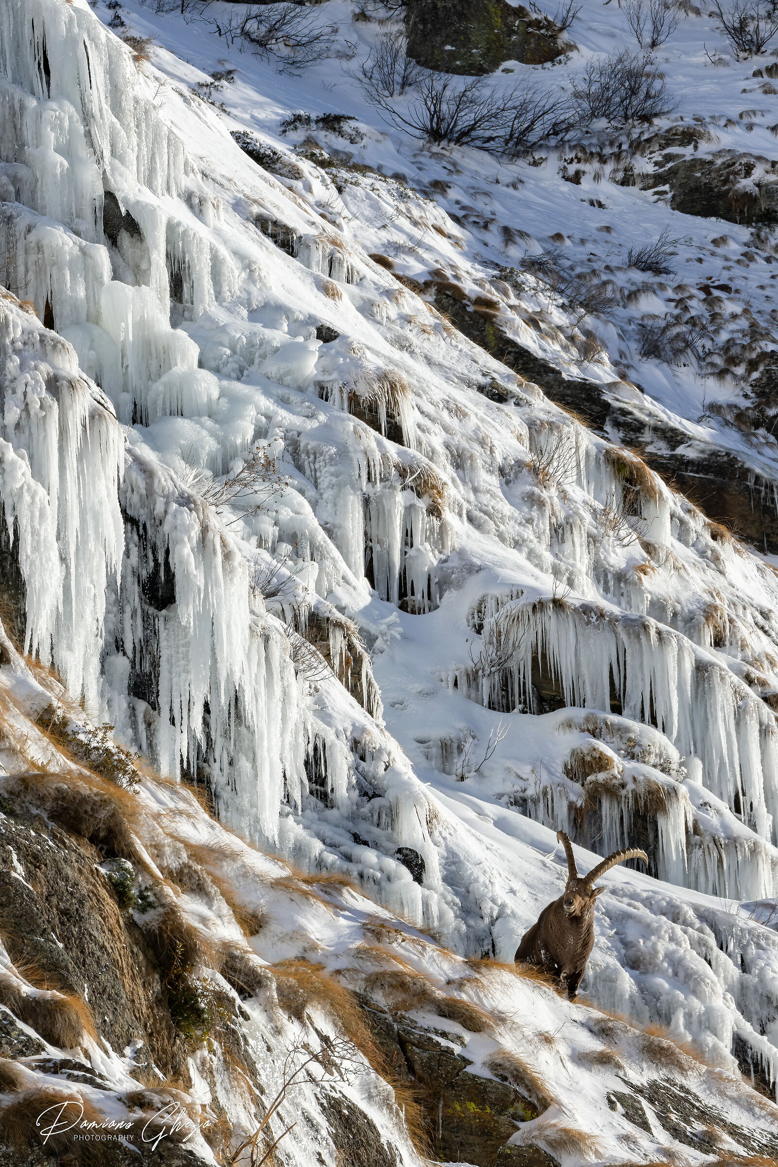 Tutto era gelato, anche il rumore