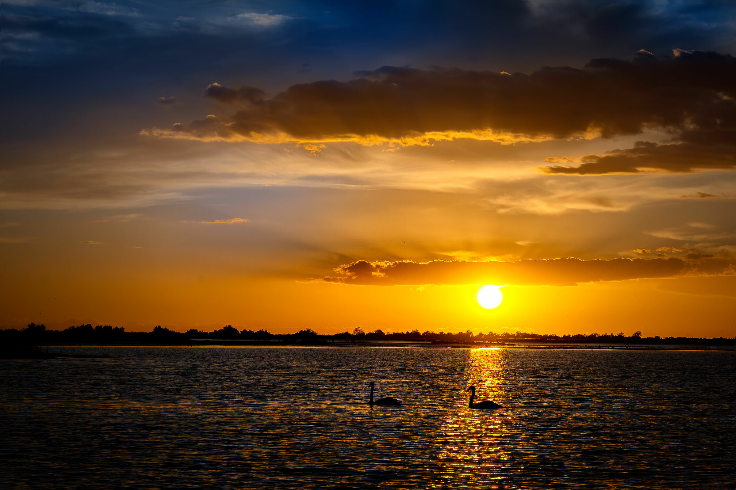 Peace in the Po Delta