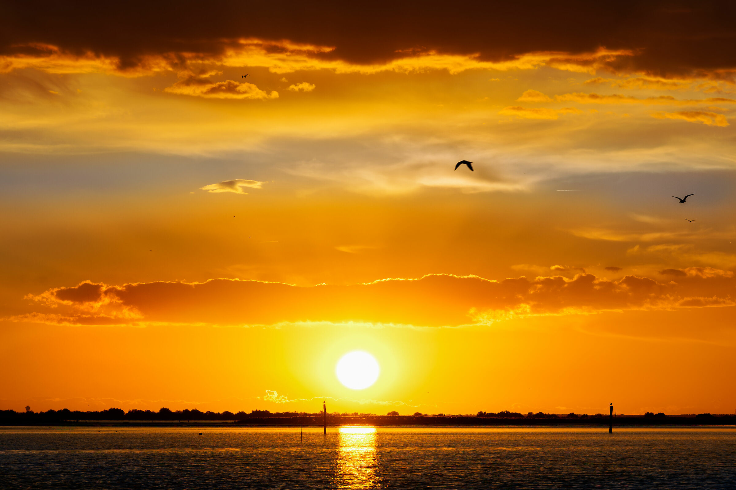 Tramnto on the delta