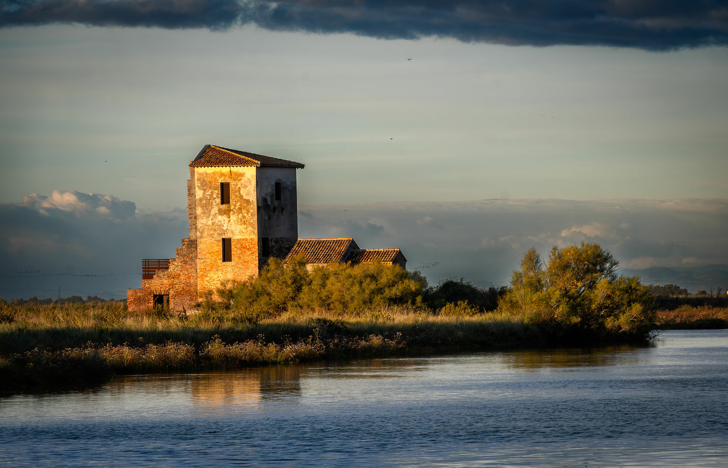 Landscape of the Delta