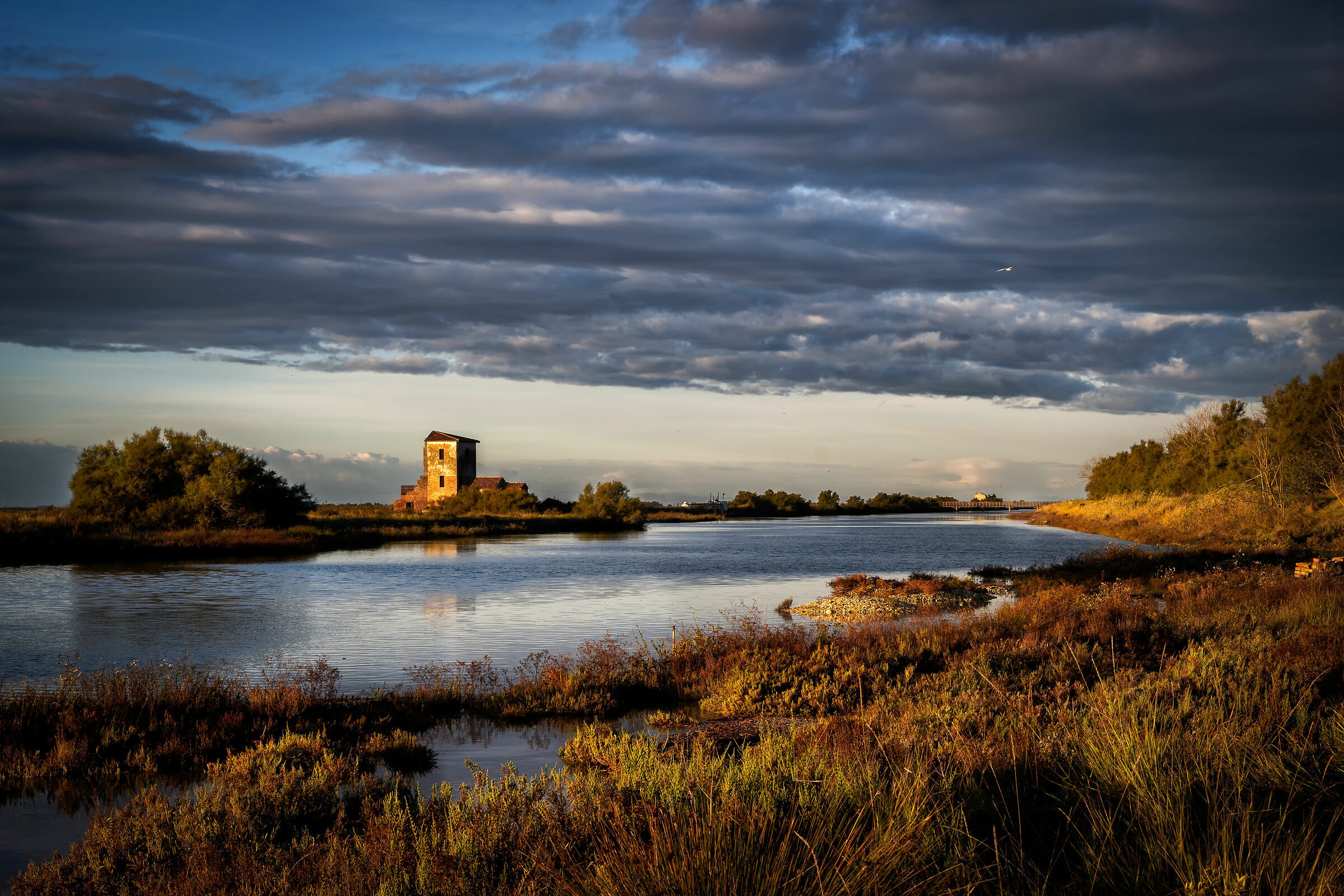 Landscape in the Delta