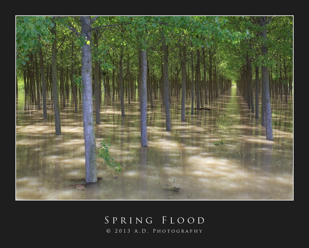 Spring Flood