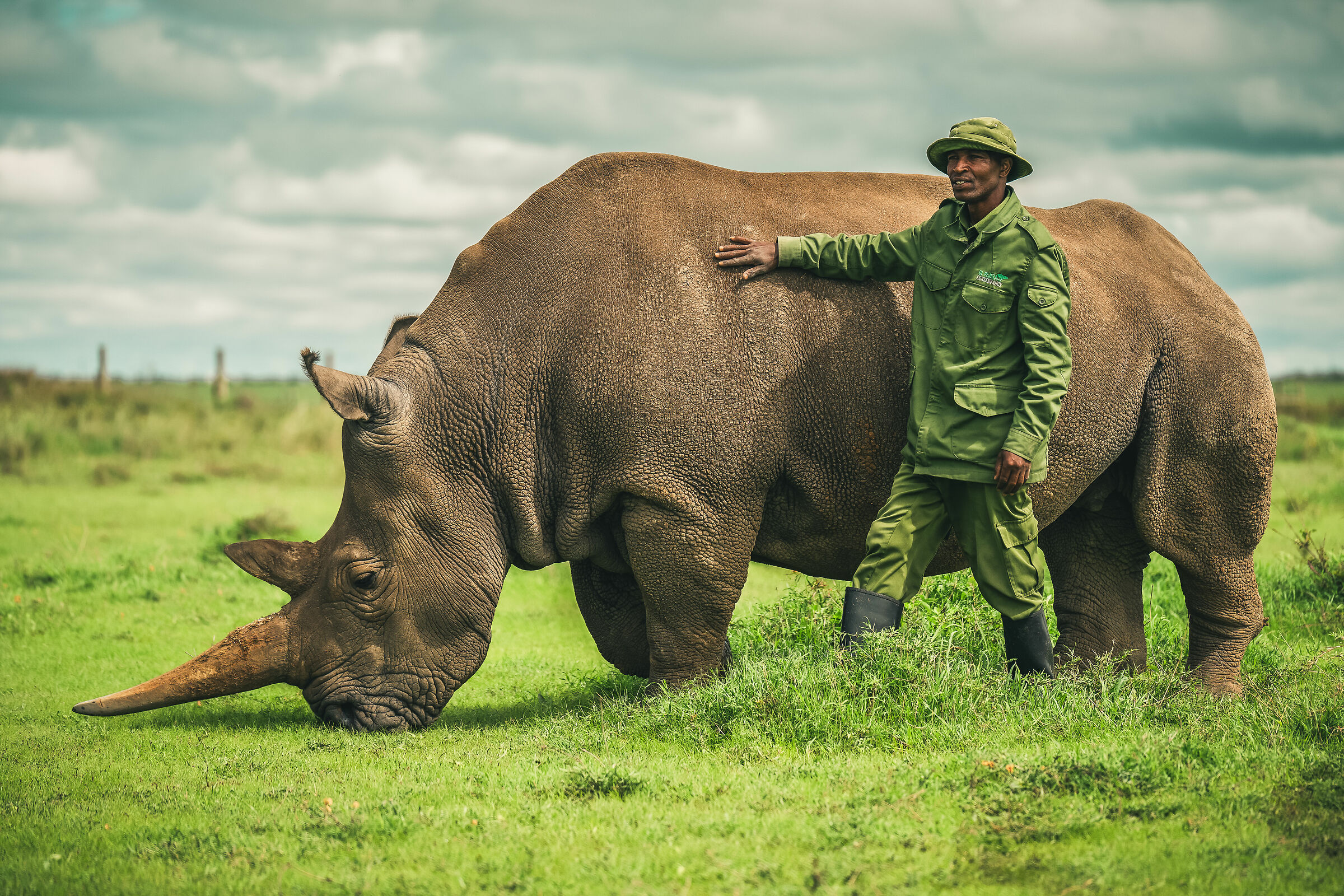 Sua maesta... l'ultima.
