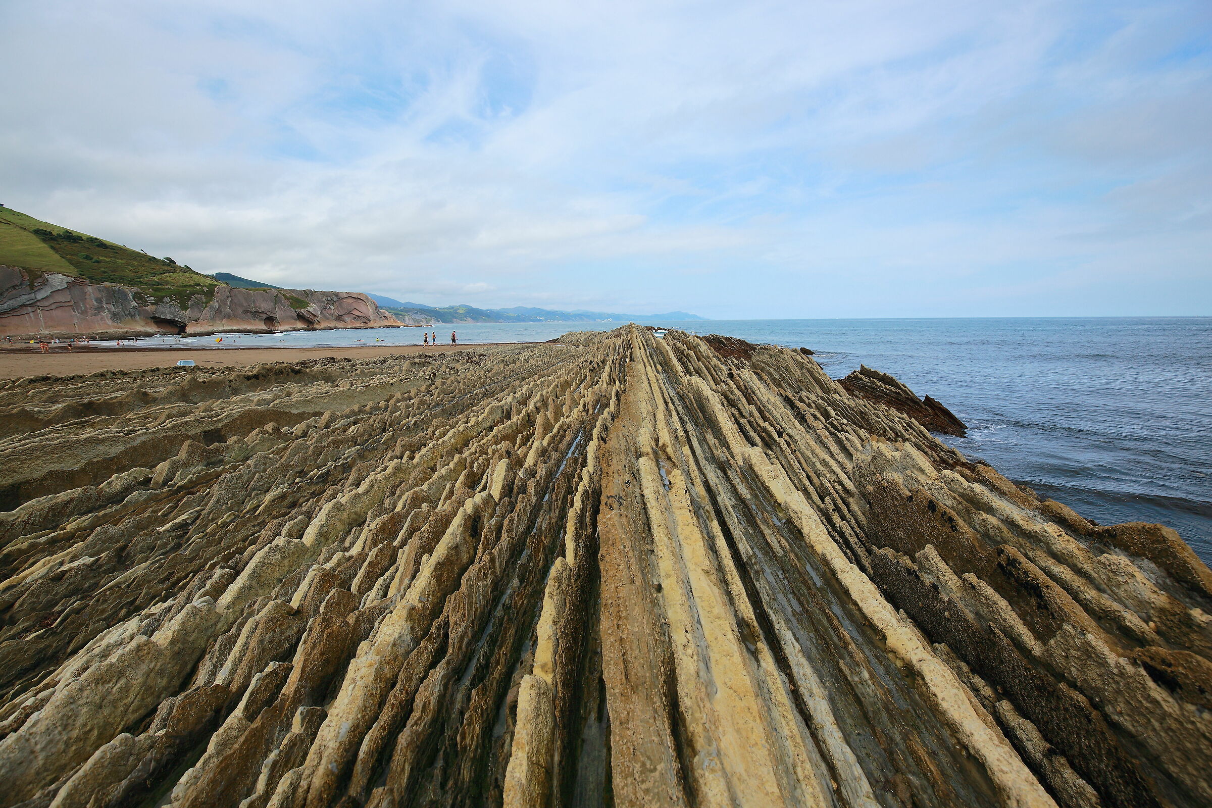 The Flysch