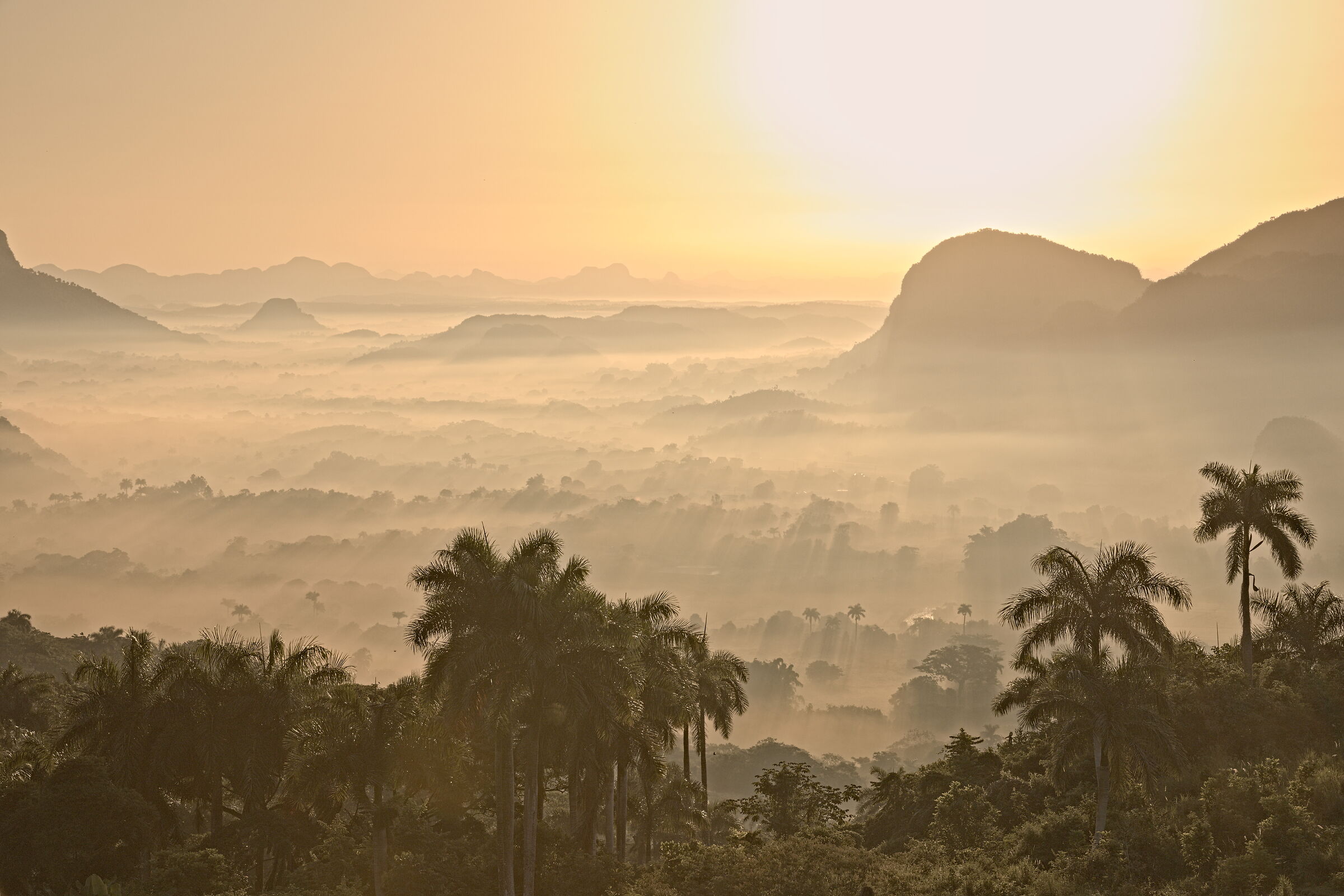 Cuba | Los Aquaticos