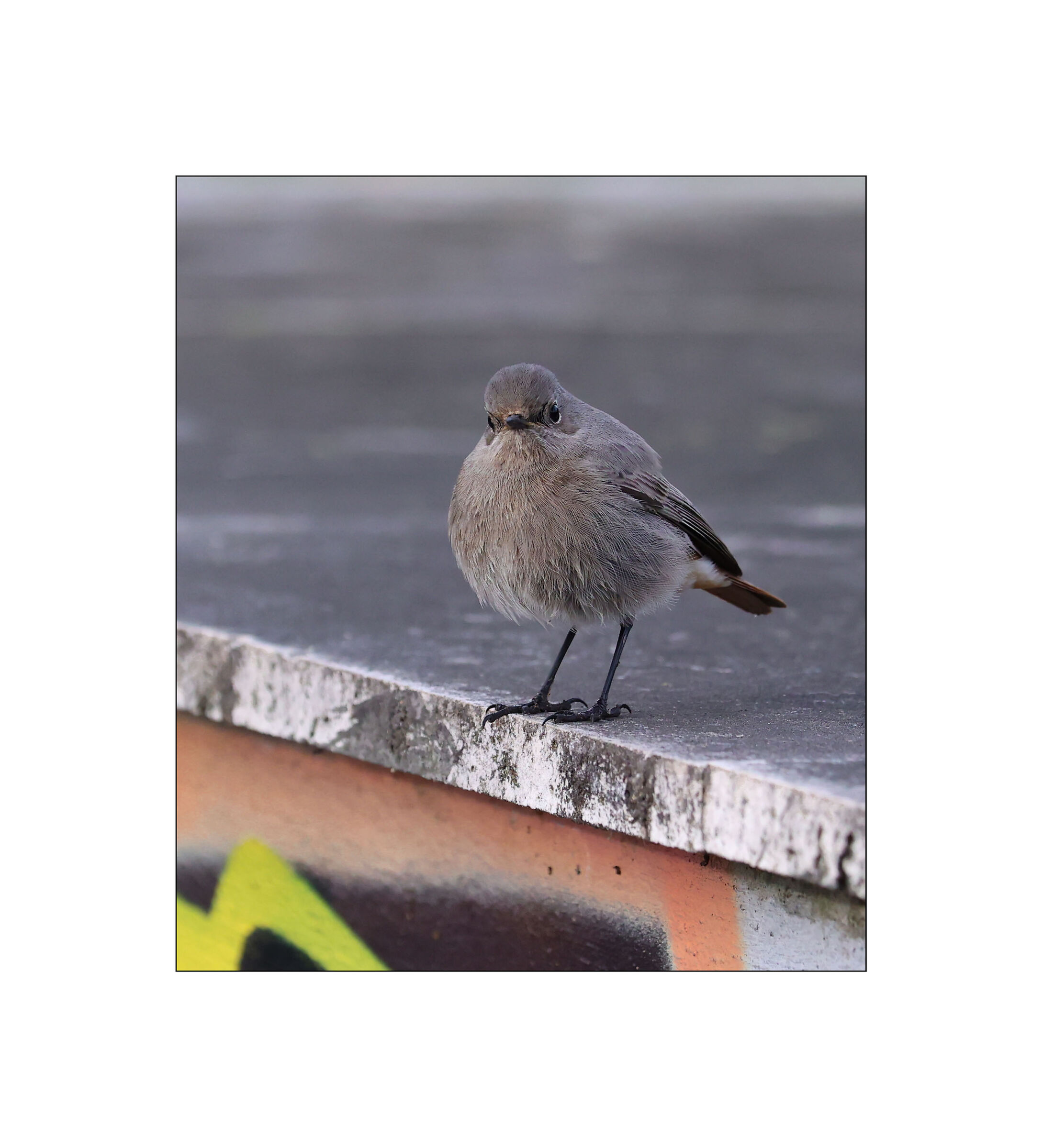 e' proprio me che stai fotografando?....