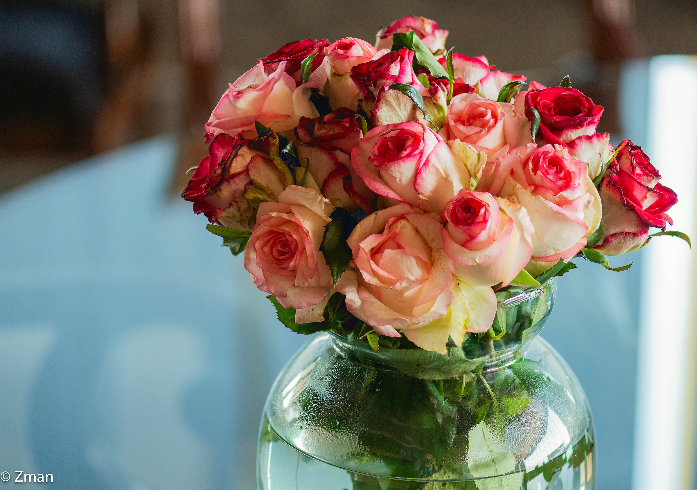 Roses in a Vase