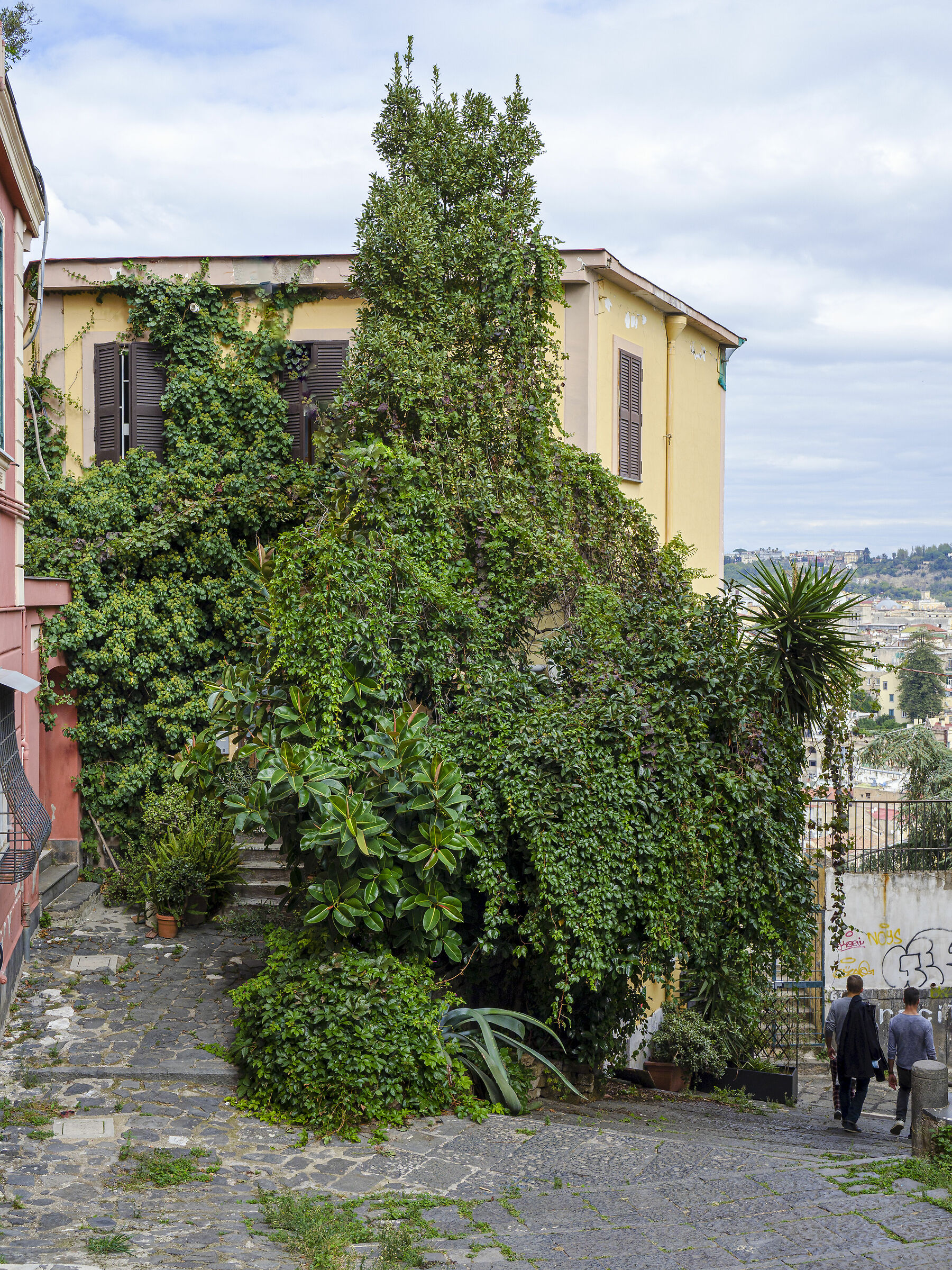 Immersa nel verde...