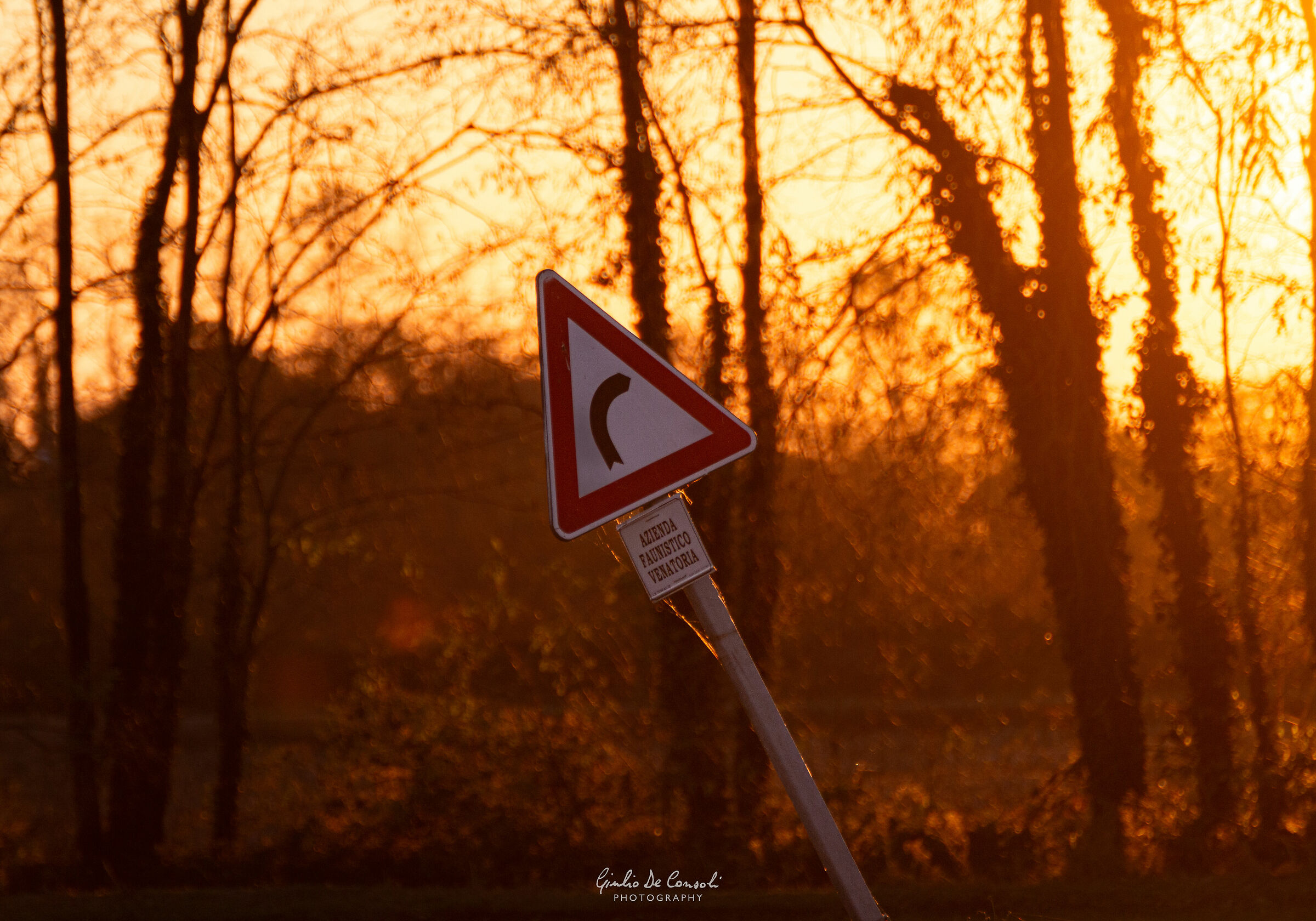 Una curva al tramonto