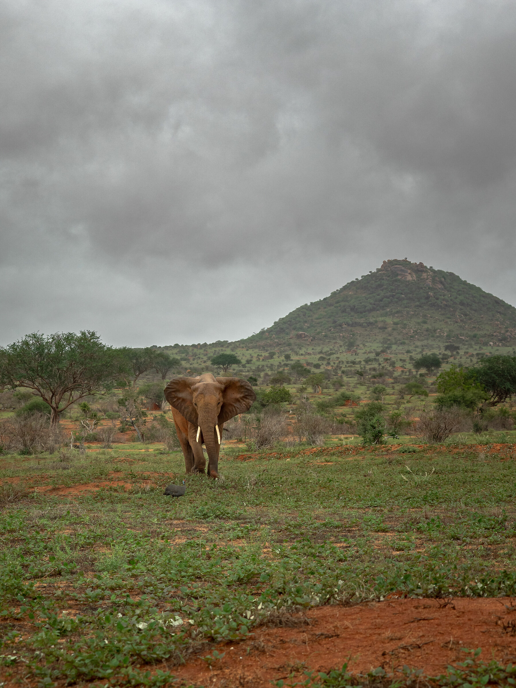 Il primo incontro non si scorda mai