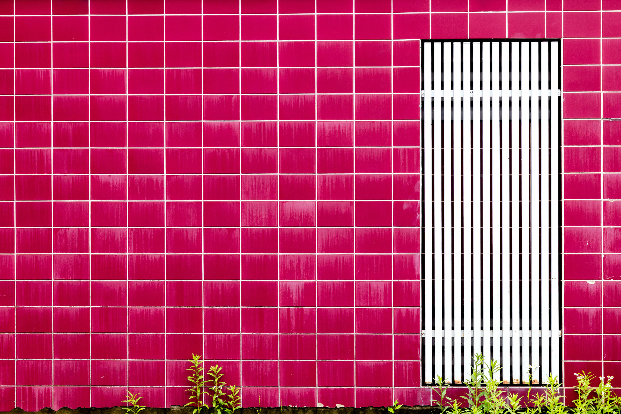 The wall