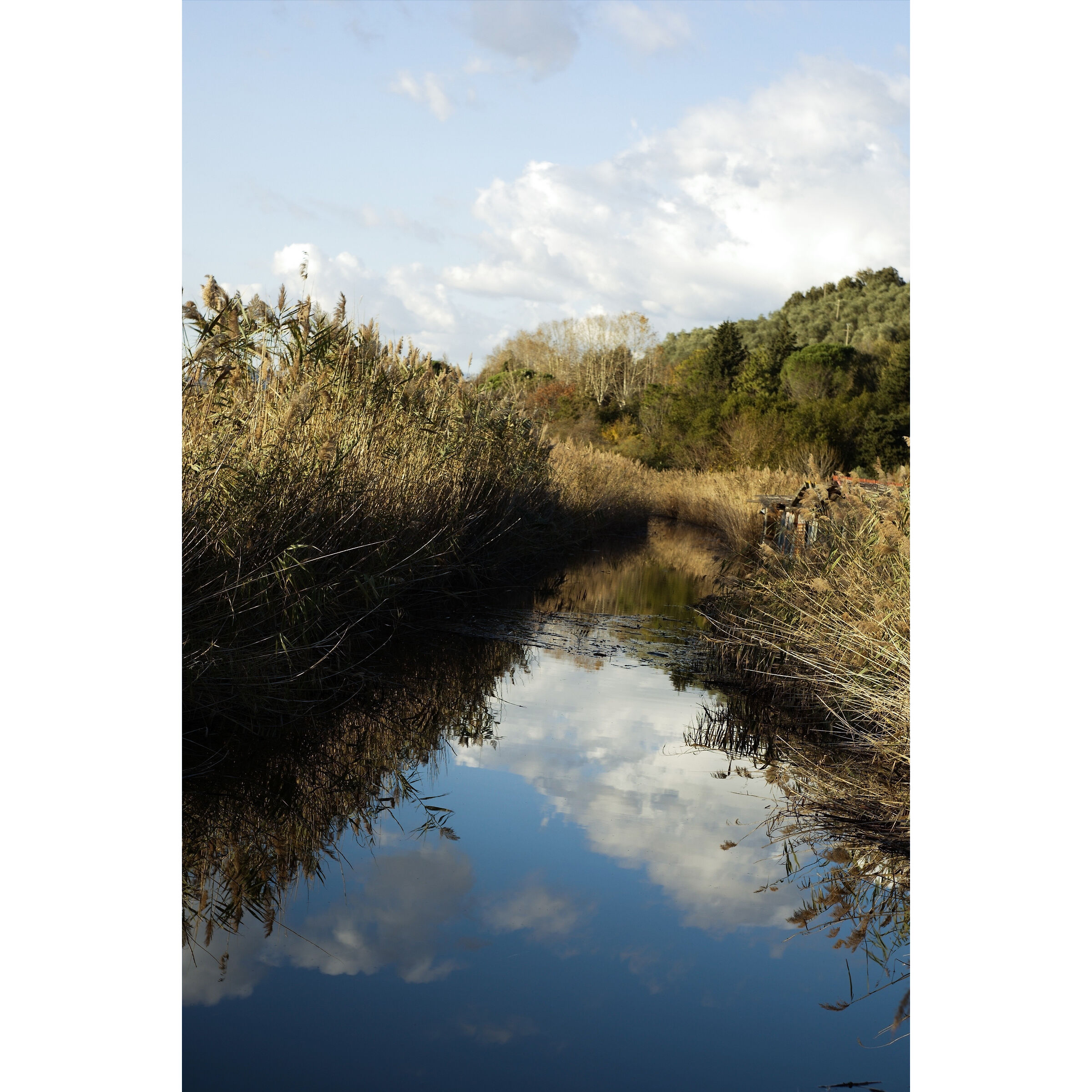 Untitled Photo