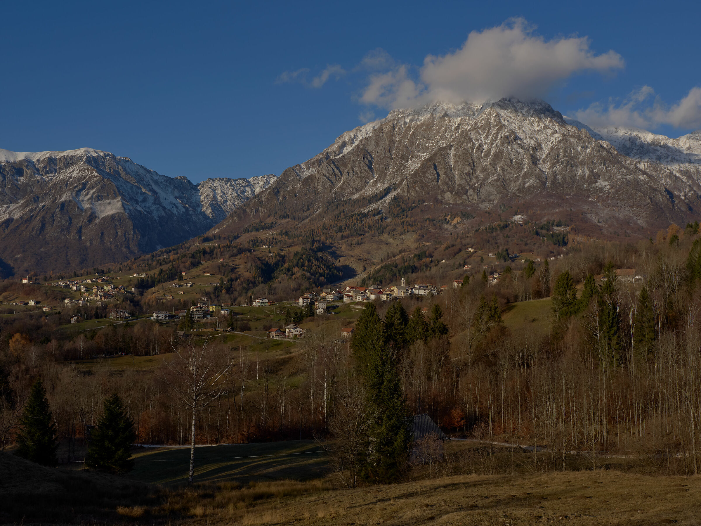 Prove om1 OM 12-40 2.8 Pro II