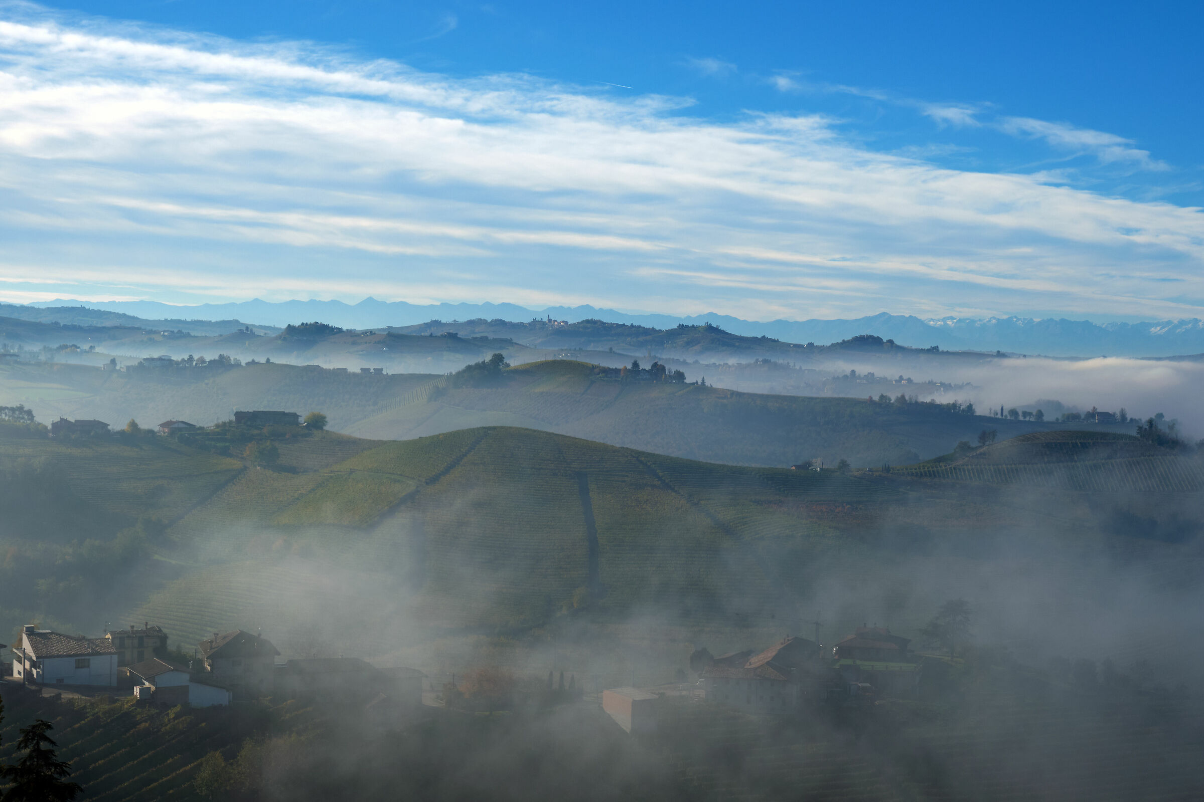 Dalla Torre di Barbaresco