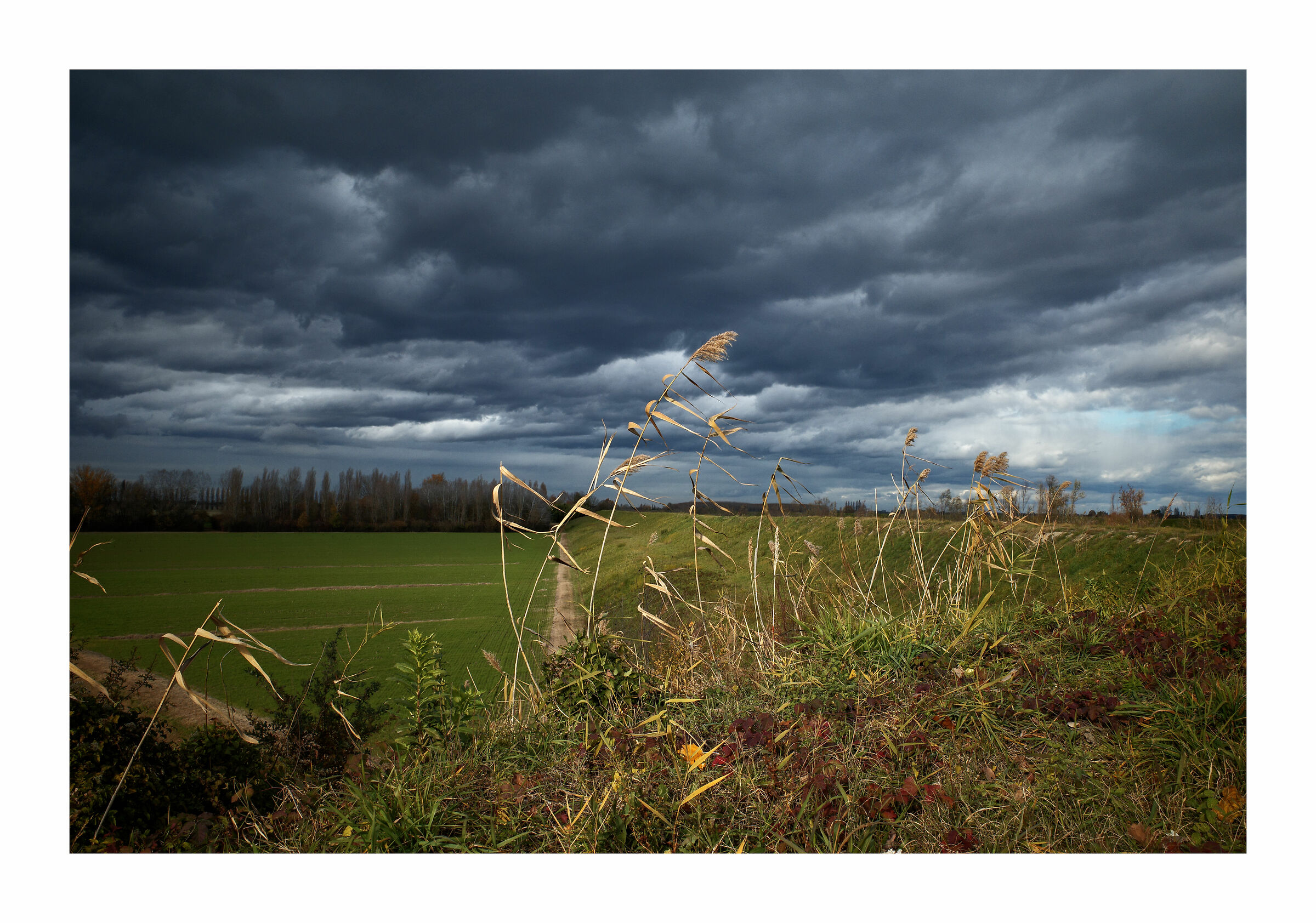 scrivere con la ... luce