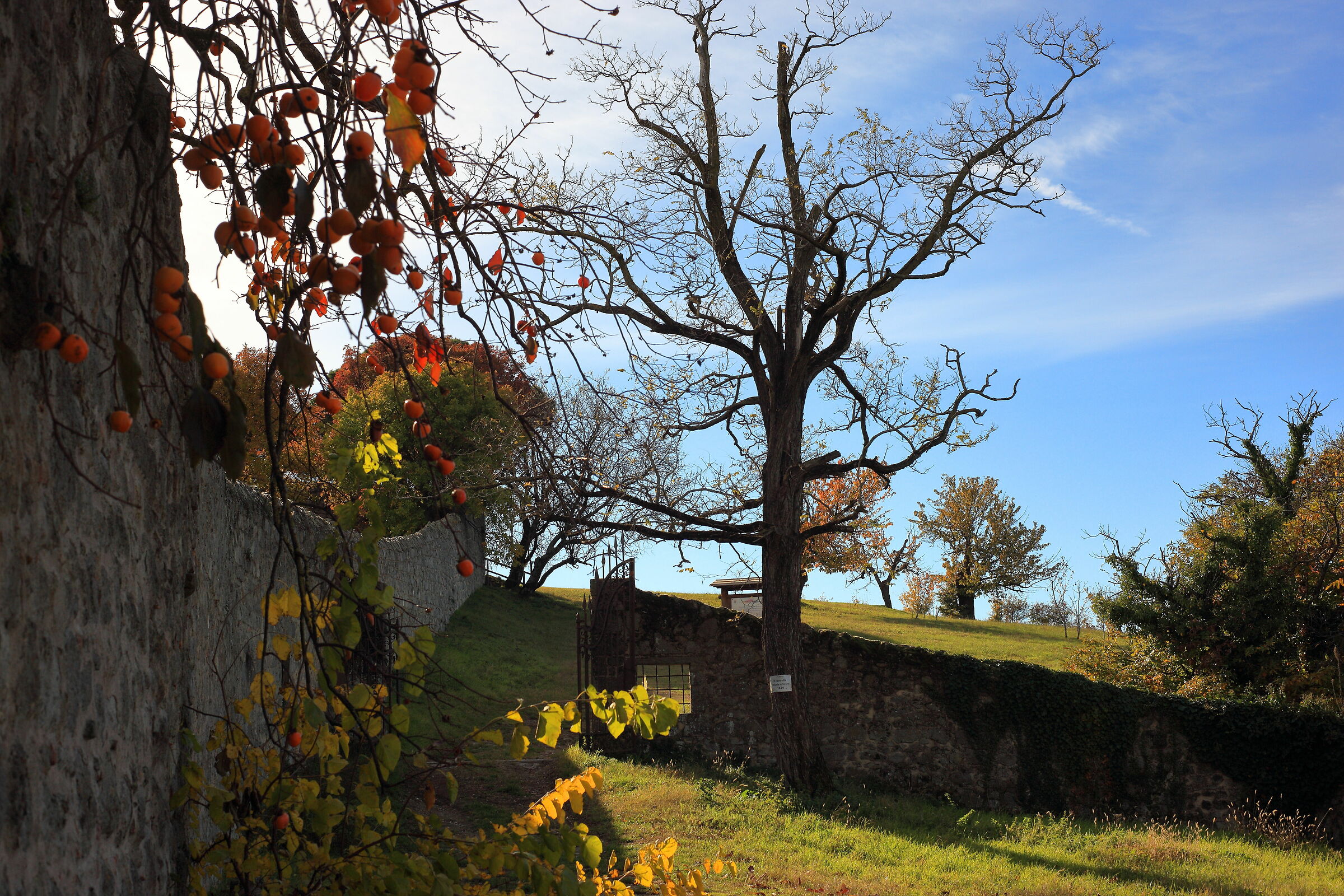Colli Euganei meravigliosi