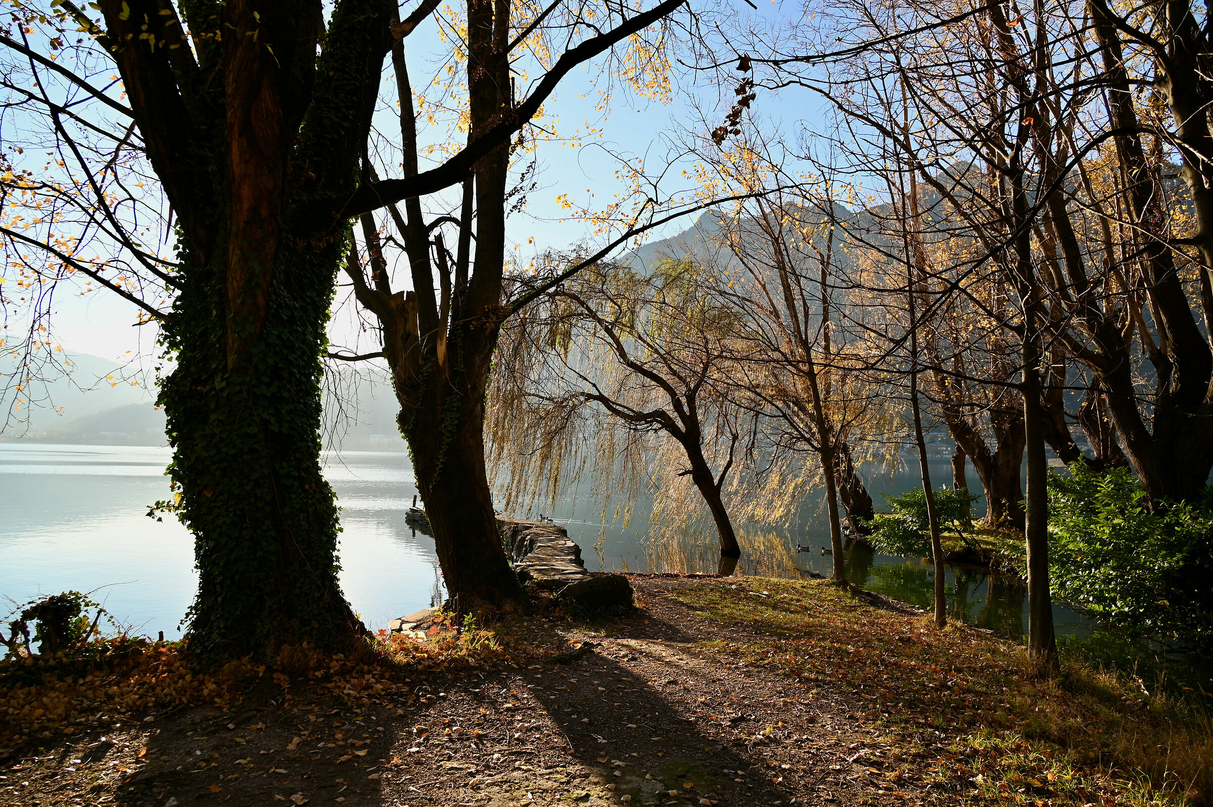 Lake Garlate : late autumn