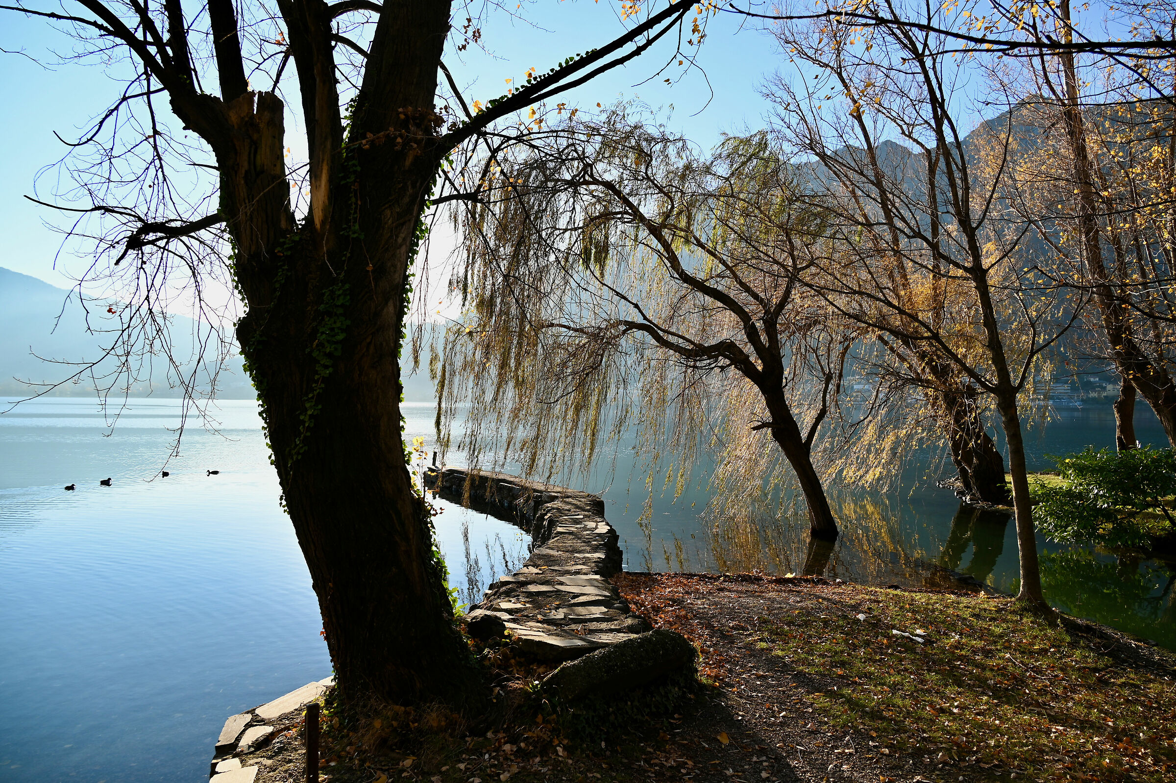 Lake Garlate : late autumn 2