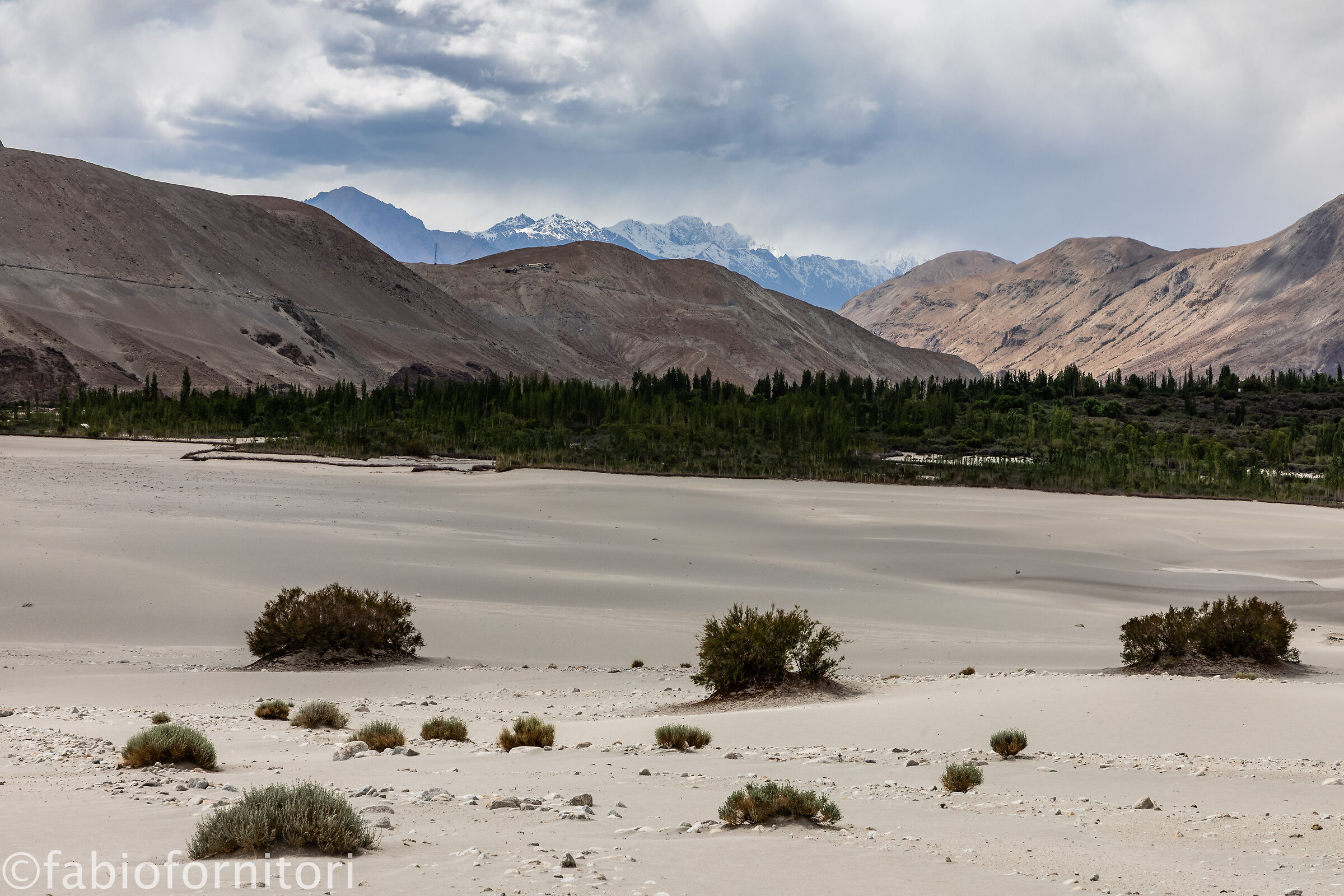 Nubra valley 1, Ladakh, India 2023