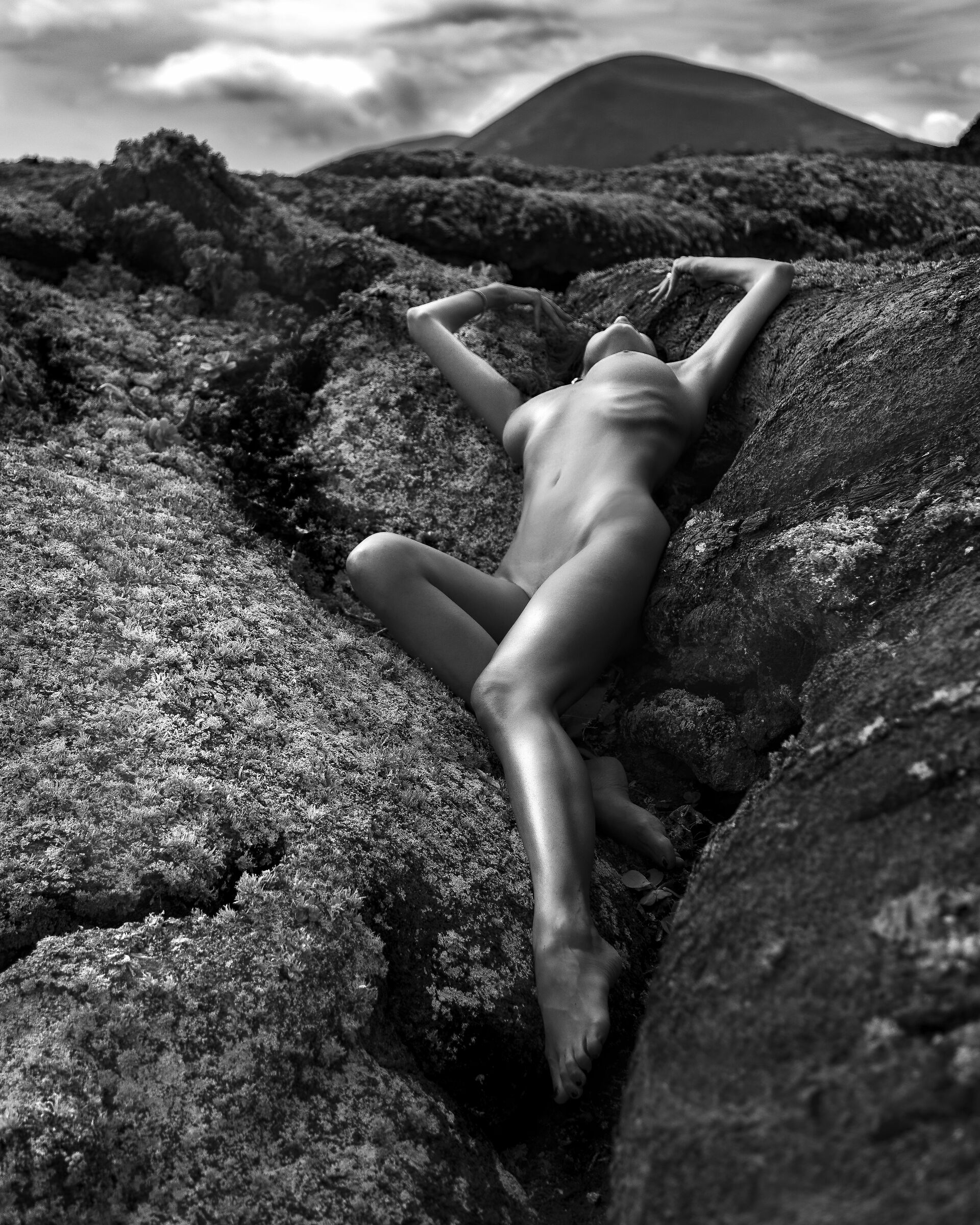 Untitled Photo