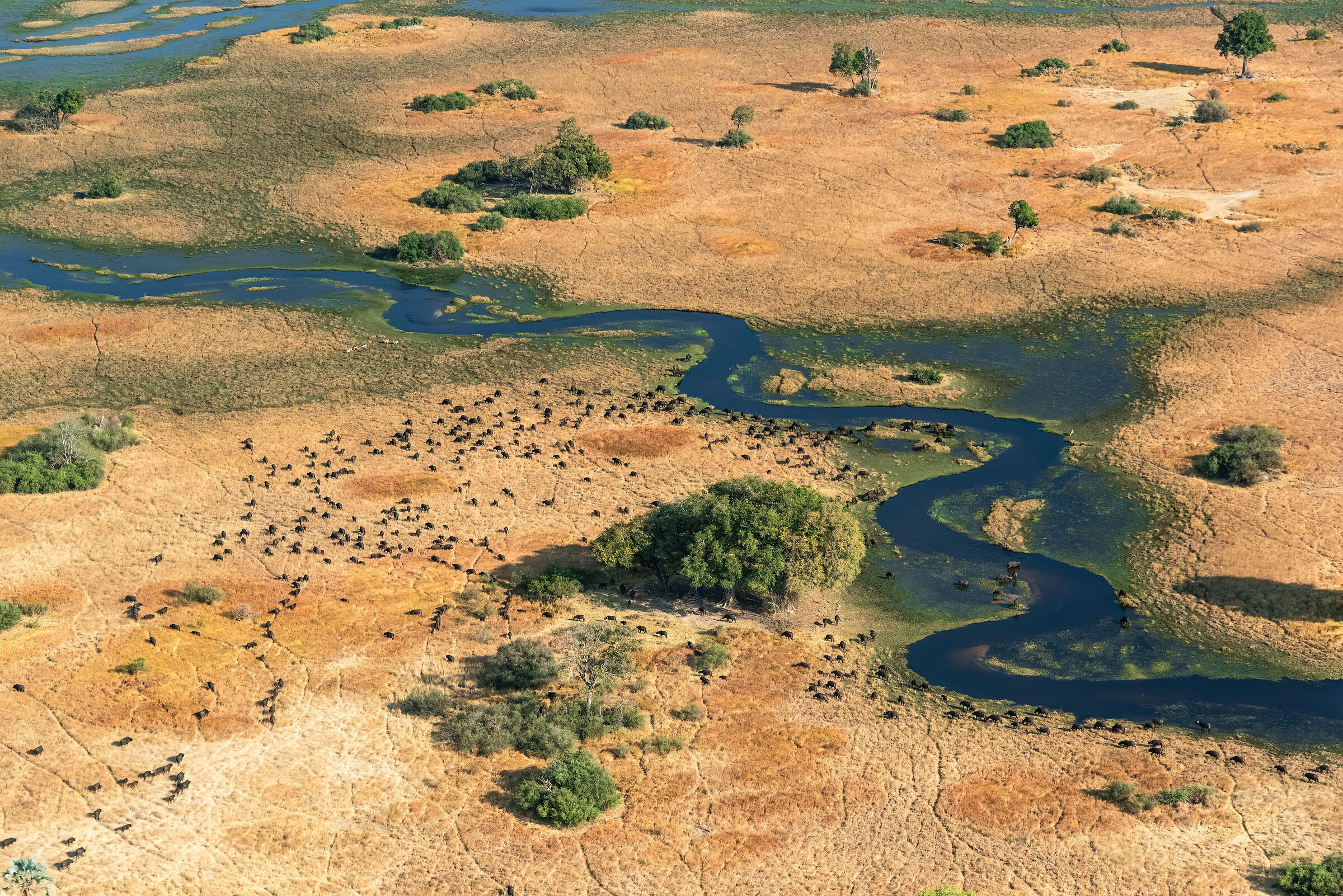 Okavango Delta