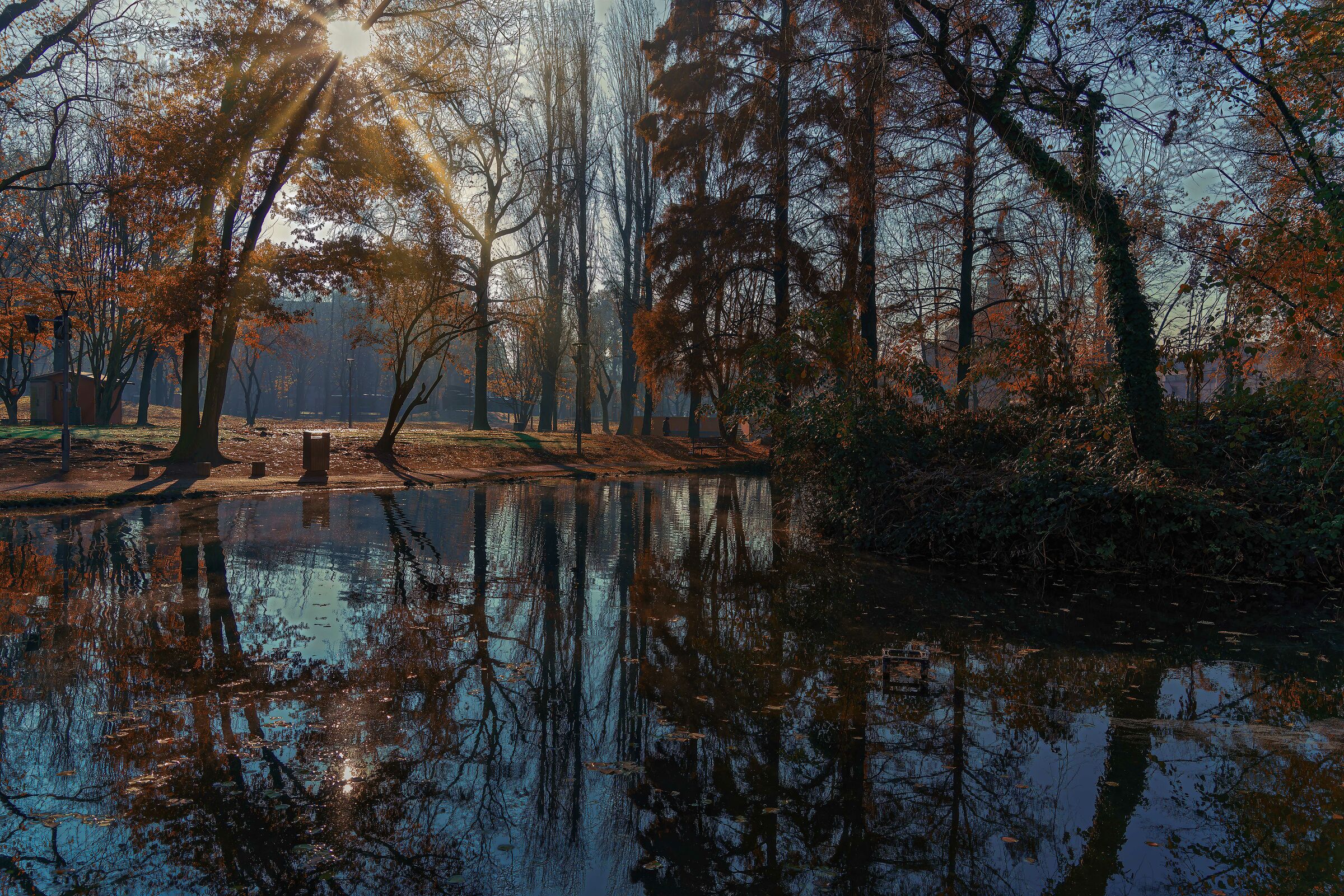 The house in the park