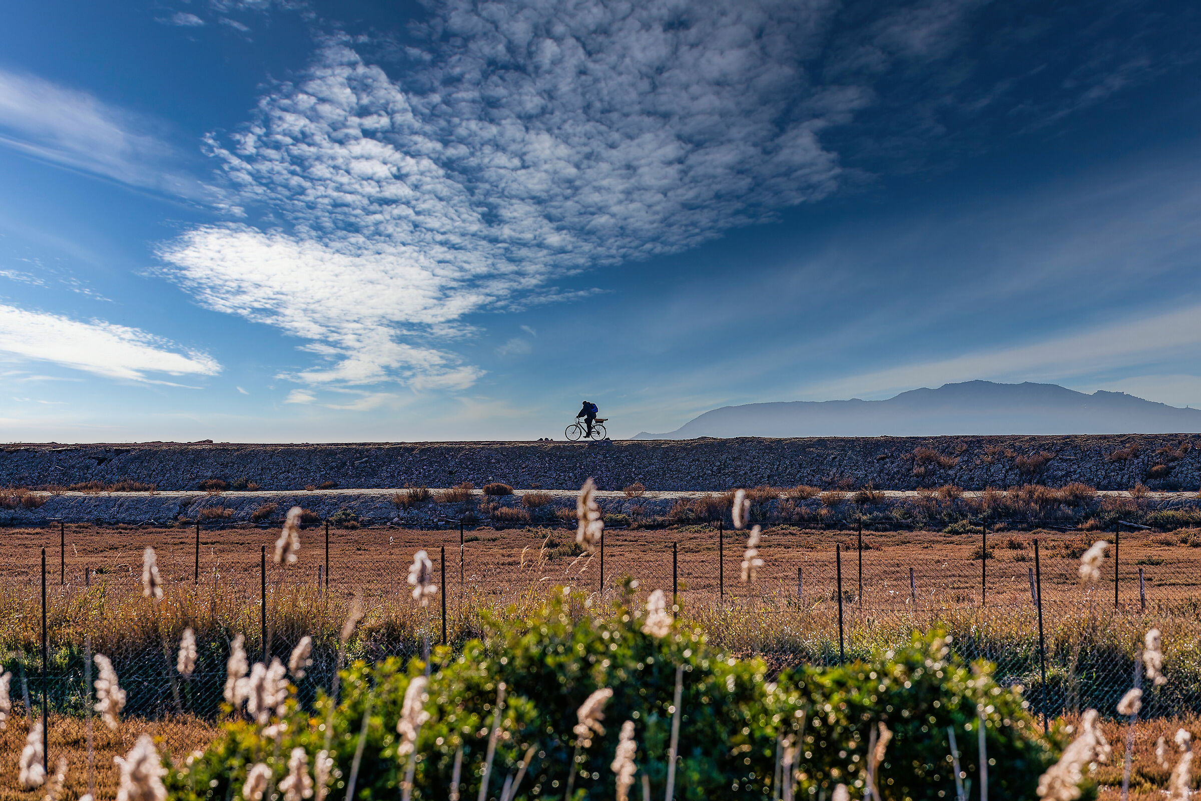 Parco regionale della maremma