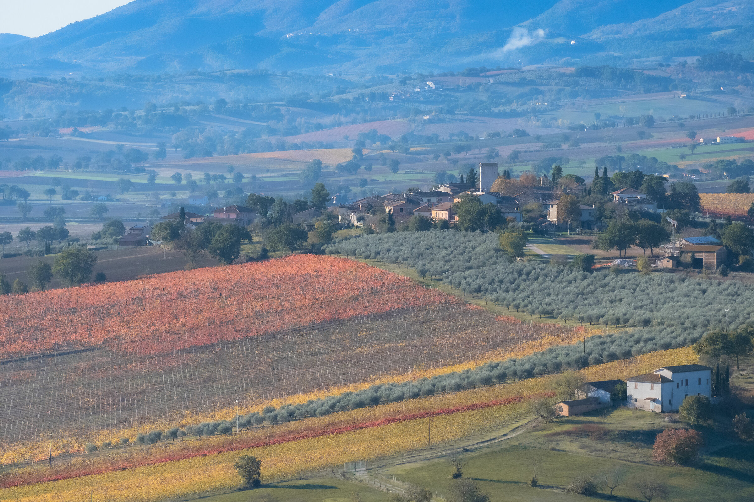 The colours of Sagrantino