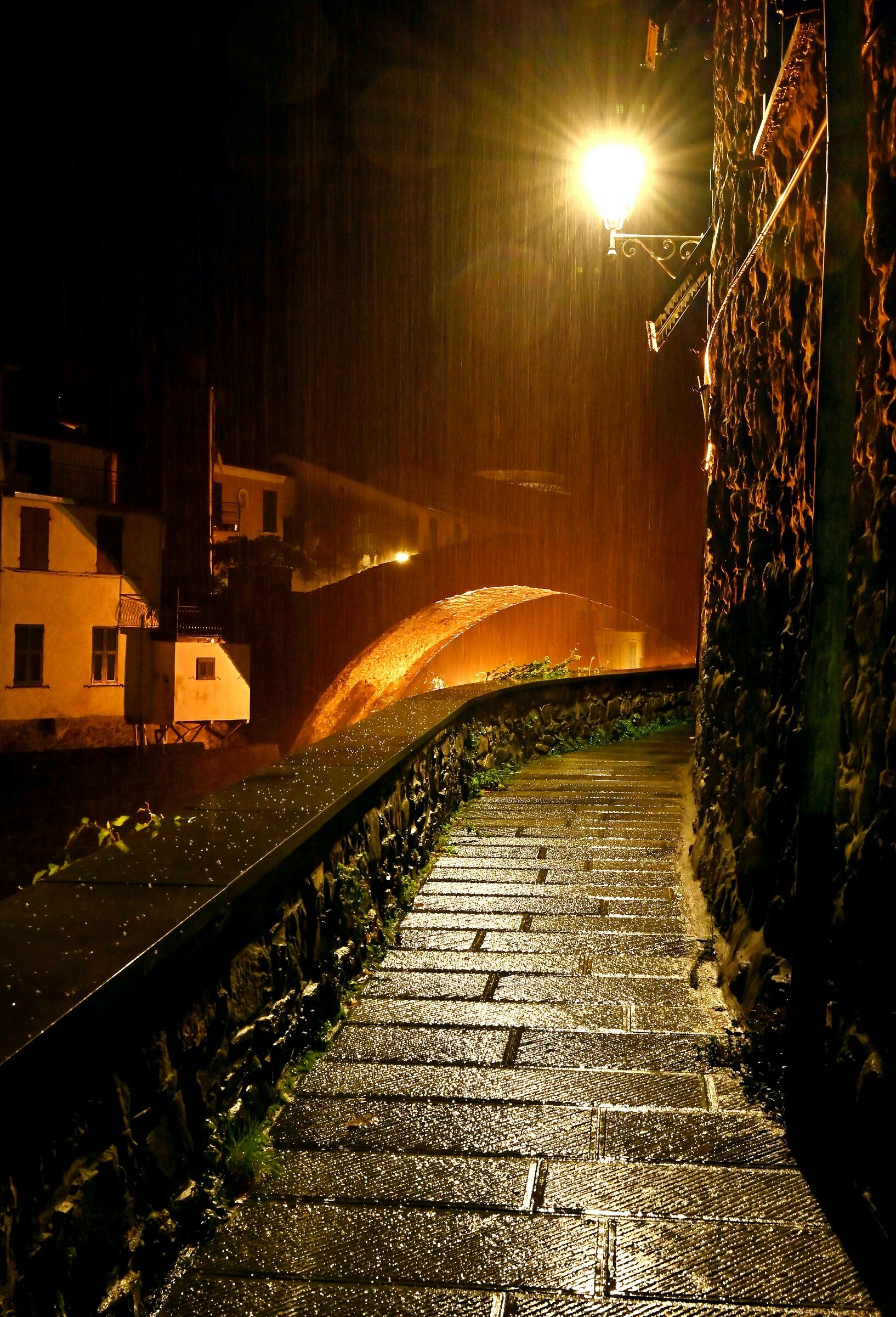 Backlit rain