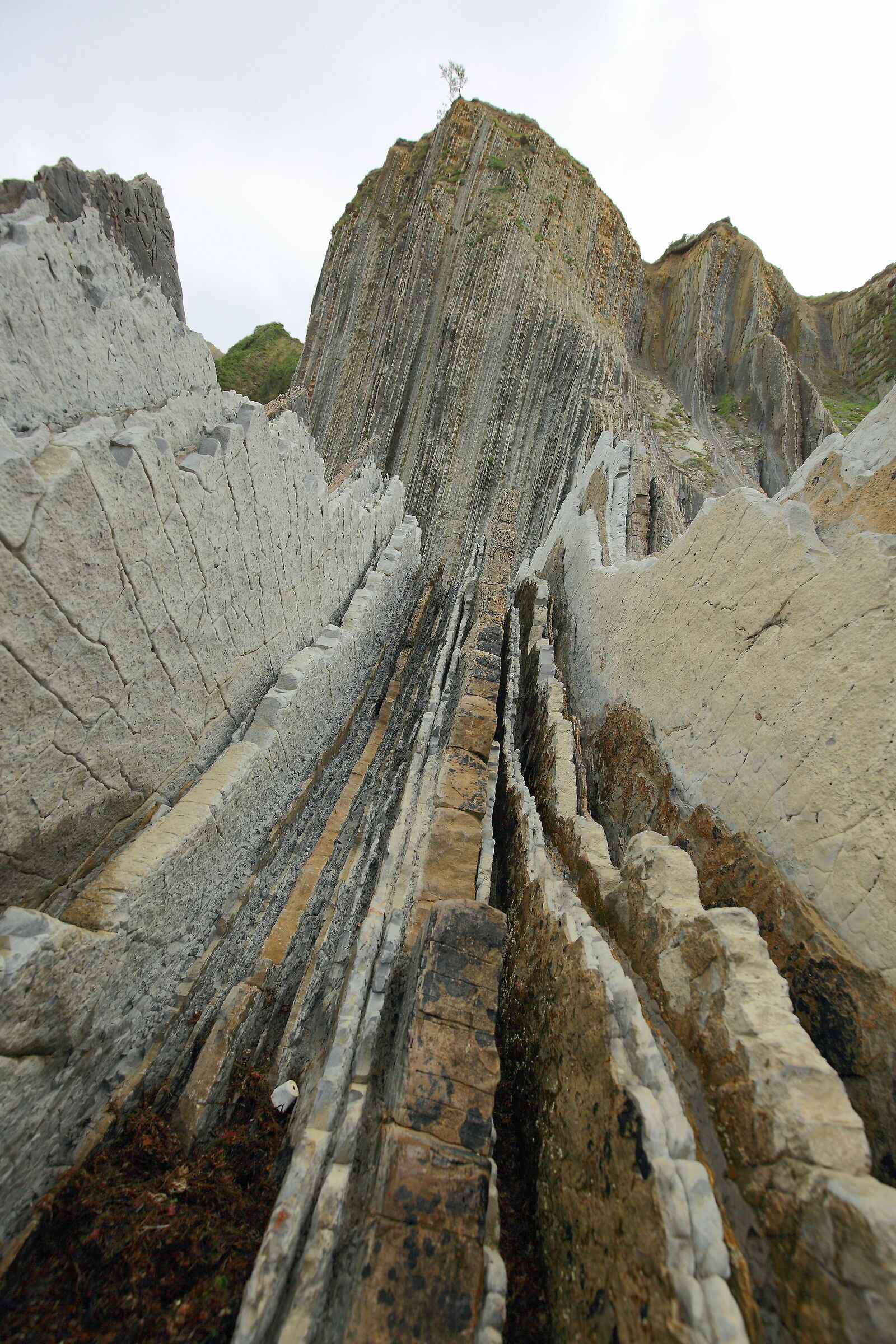 Vertical Flysch