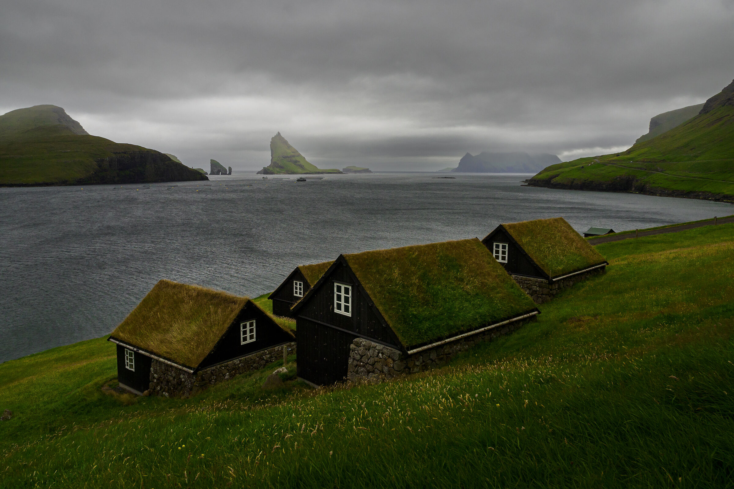 Bour - Faroe