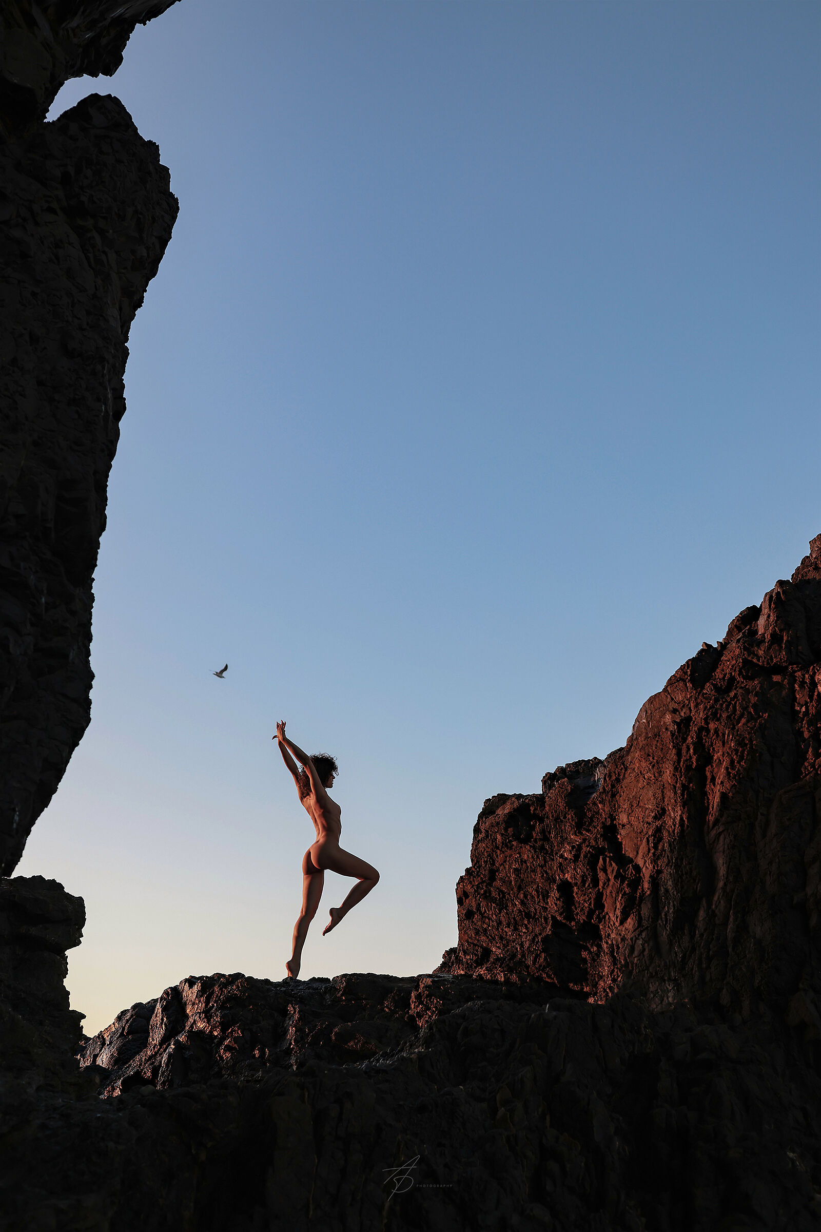 Freedom in Fuerteventura