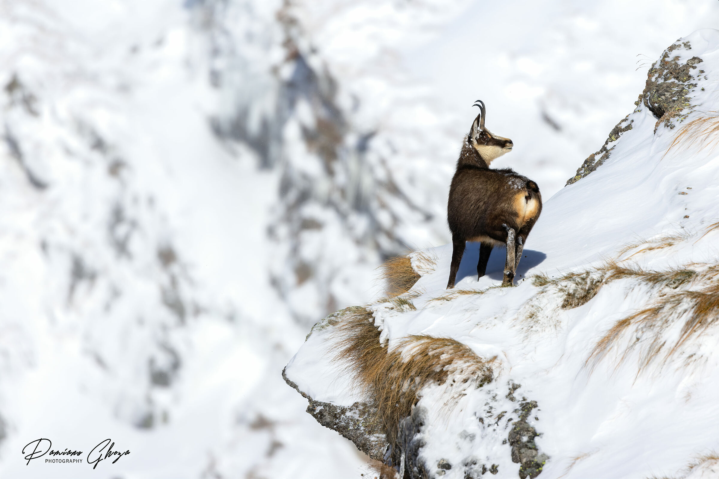 On snow-covered slopes
