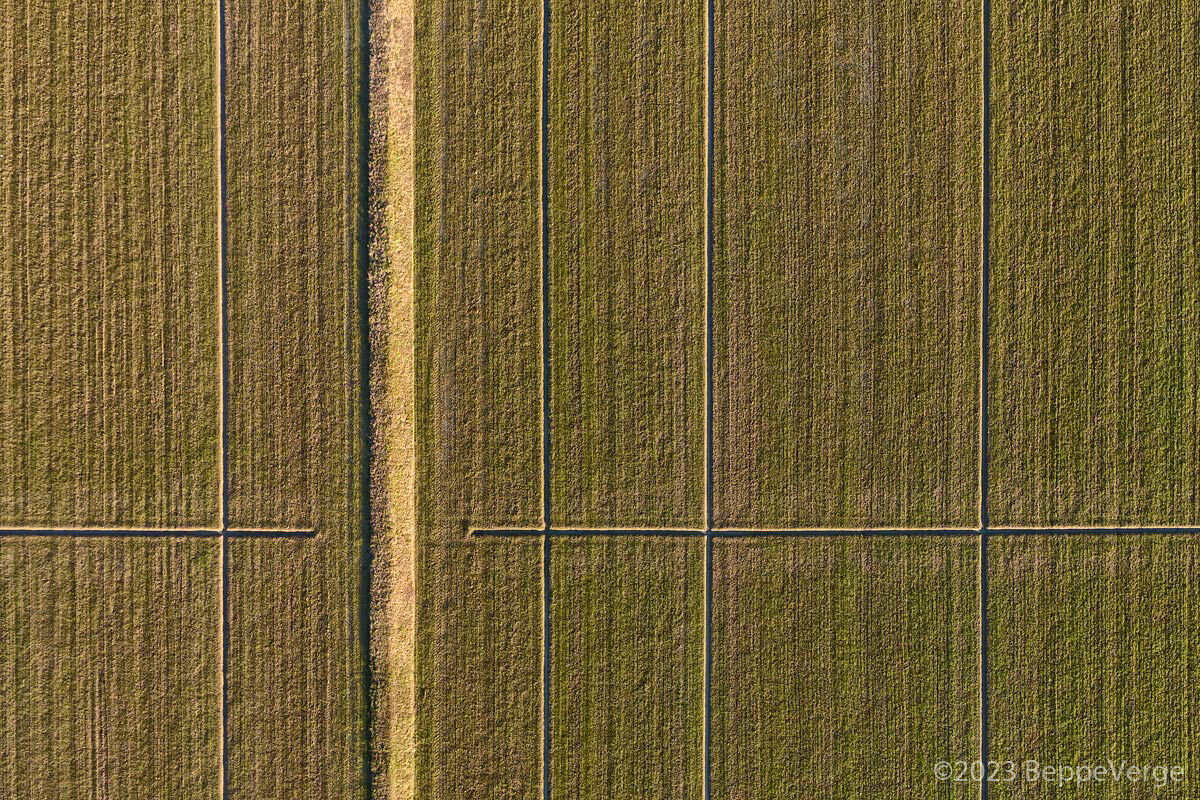 Faccio l'agricoltore ma sono geometra.