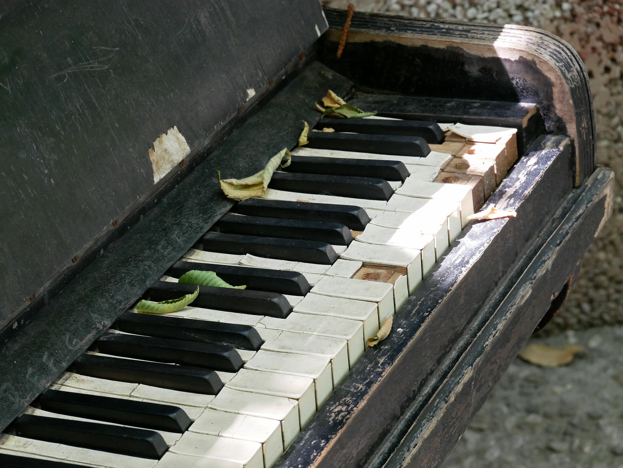 Fine della musica