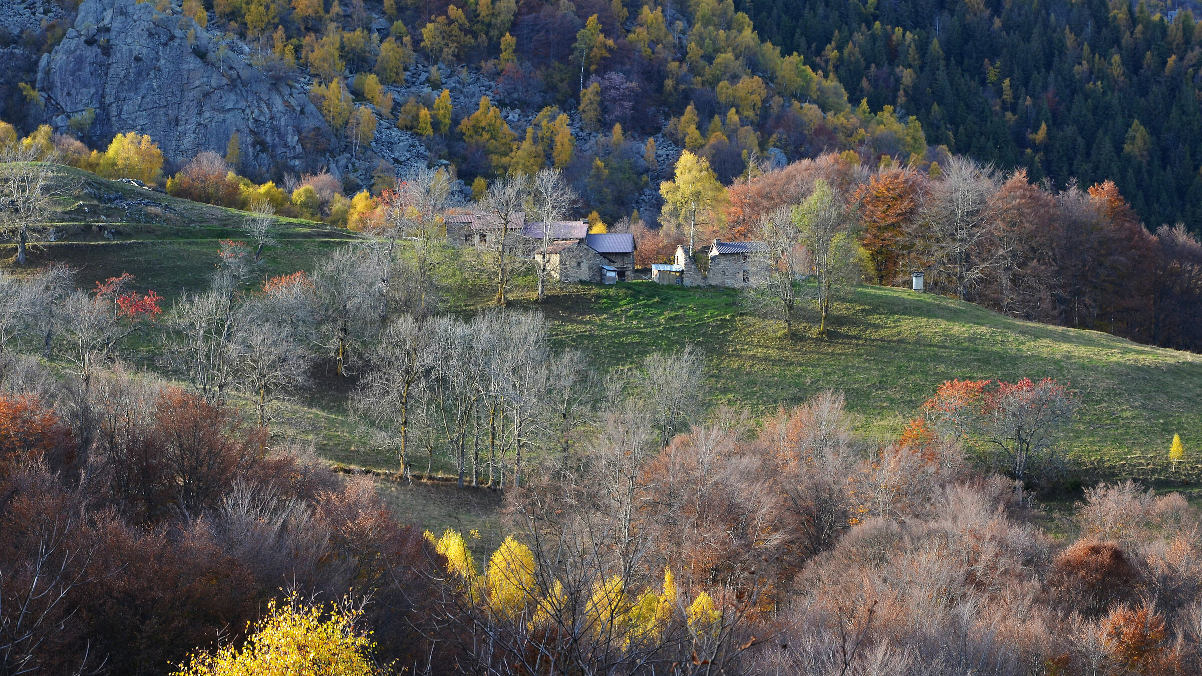 Autumn at the Col del Lys